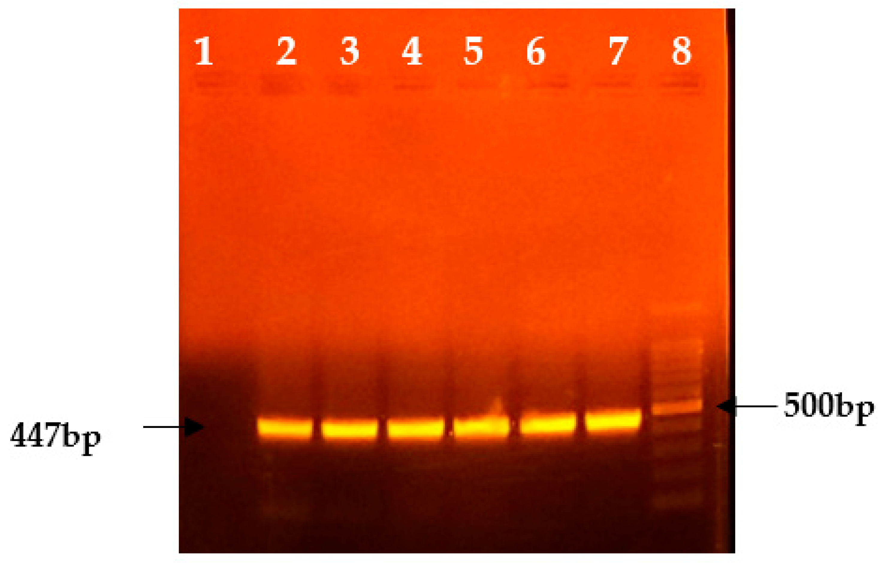 Viruses 17 00293 g002