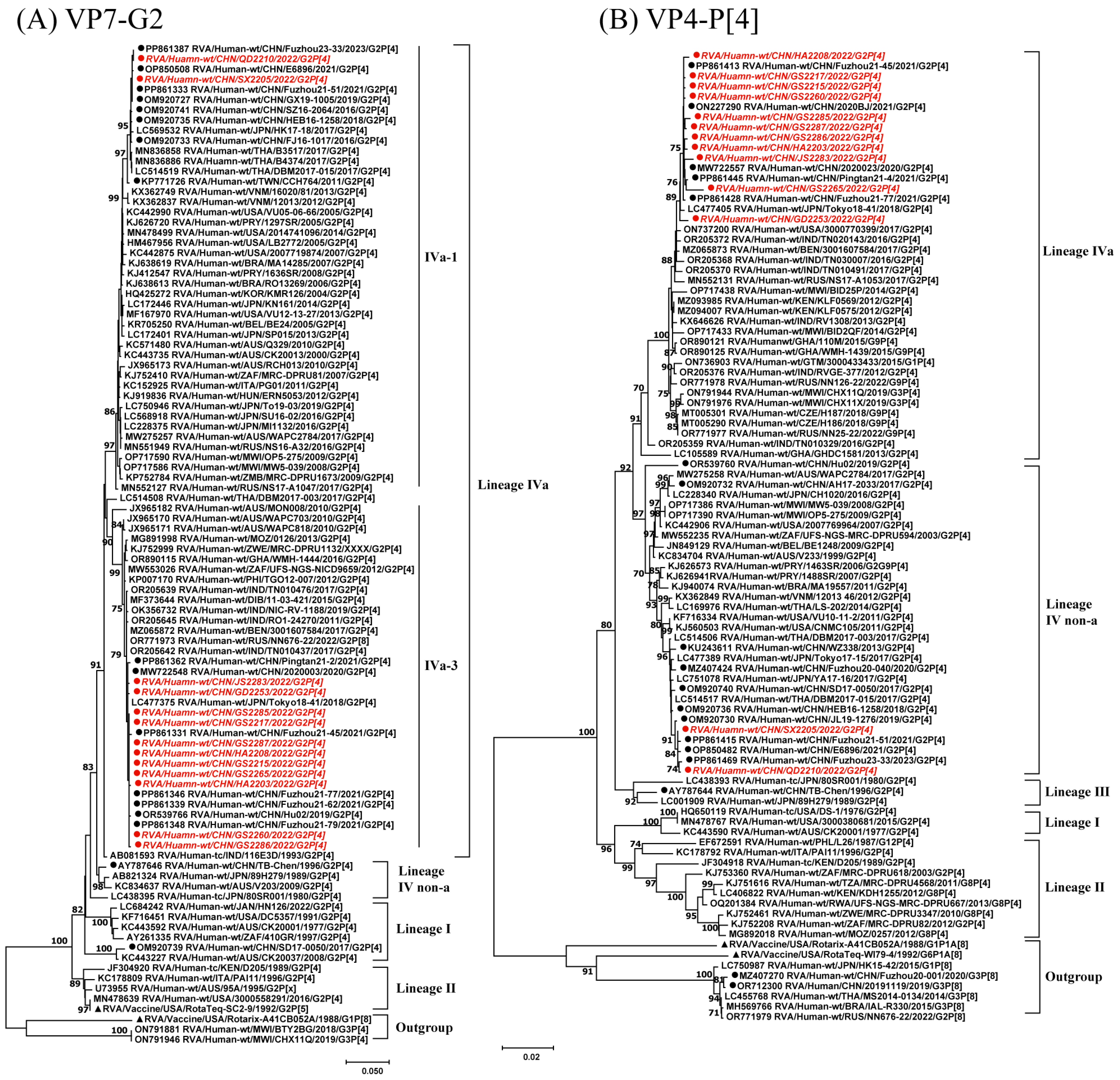Viruses 17 00326 g001