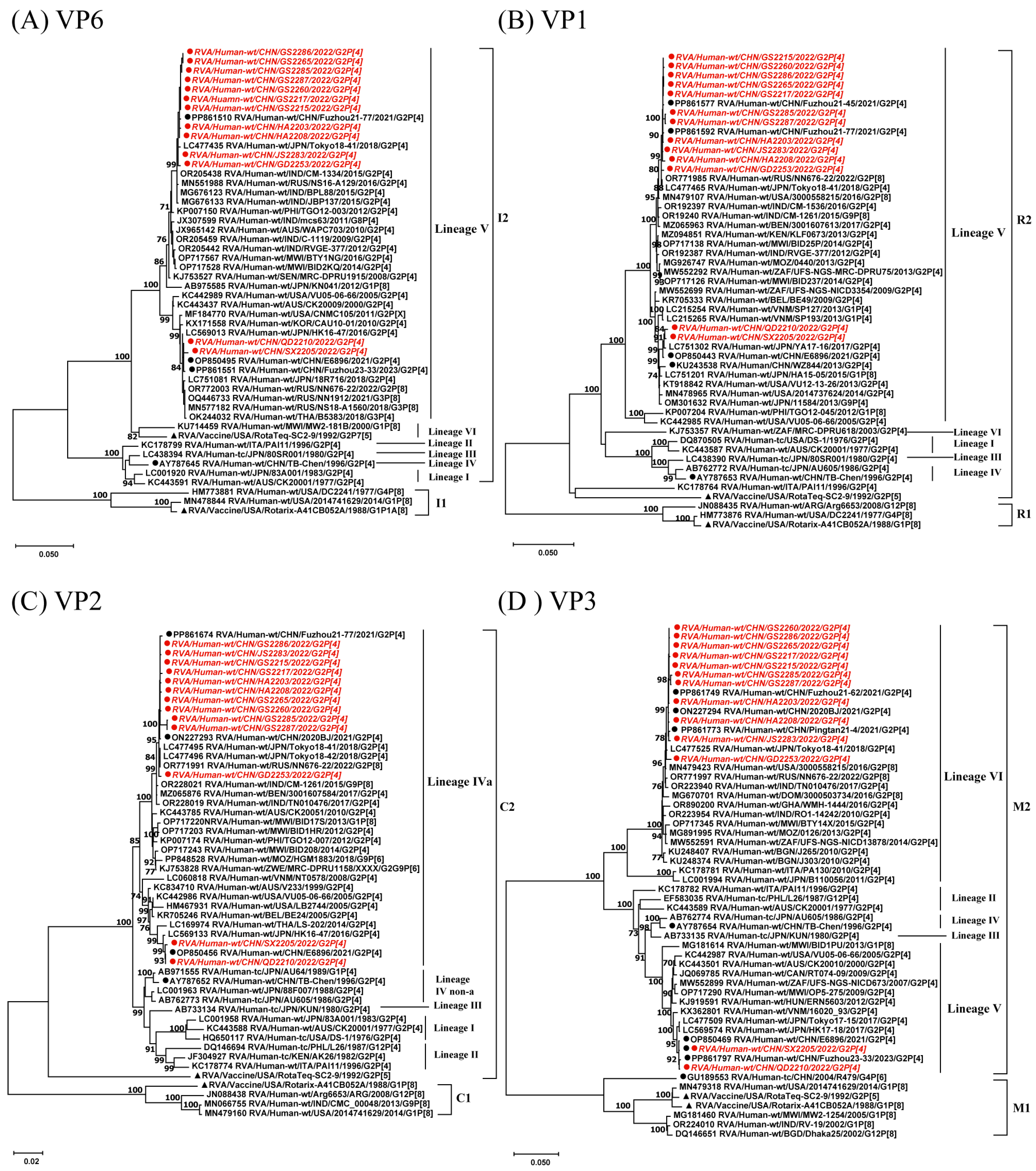 Viruses 17 00326 g002
