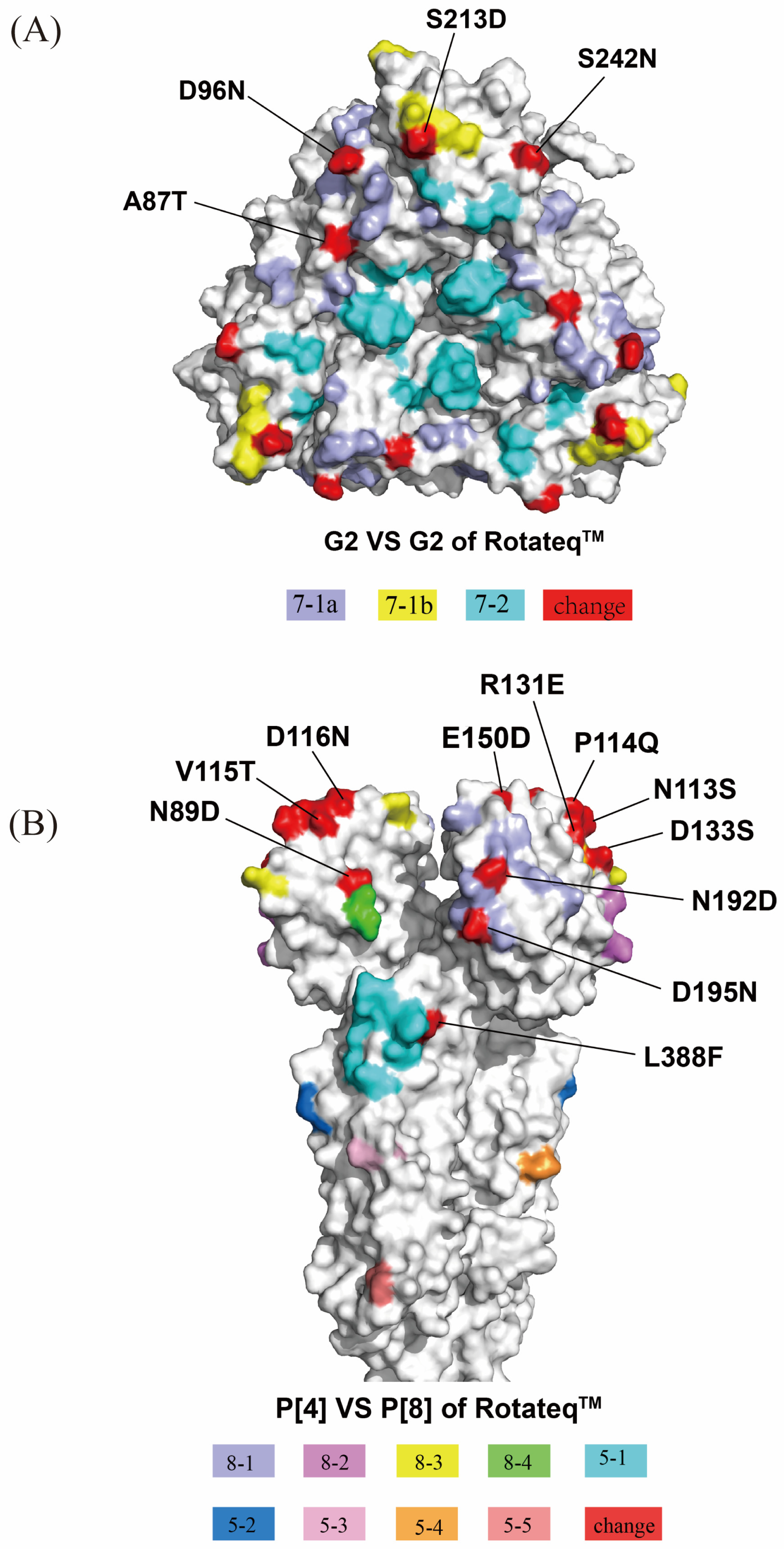Viruses 17 00326 g004