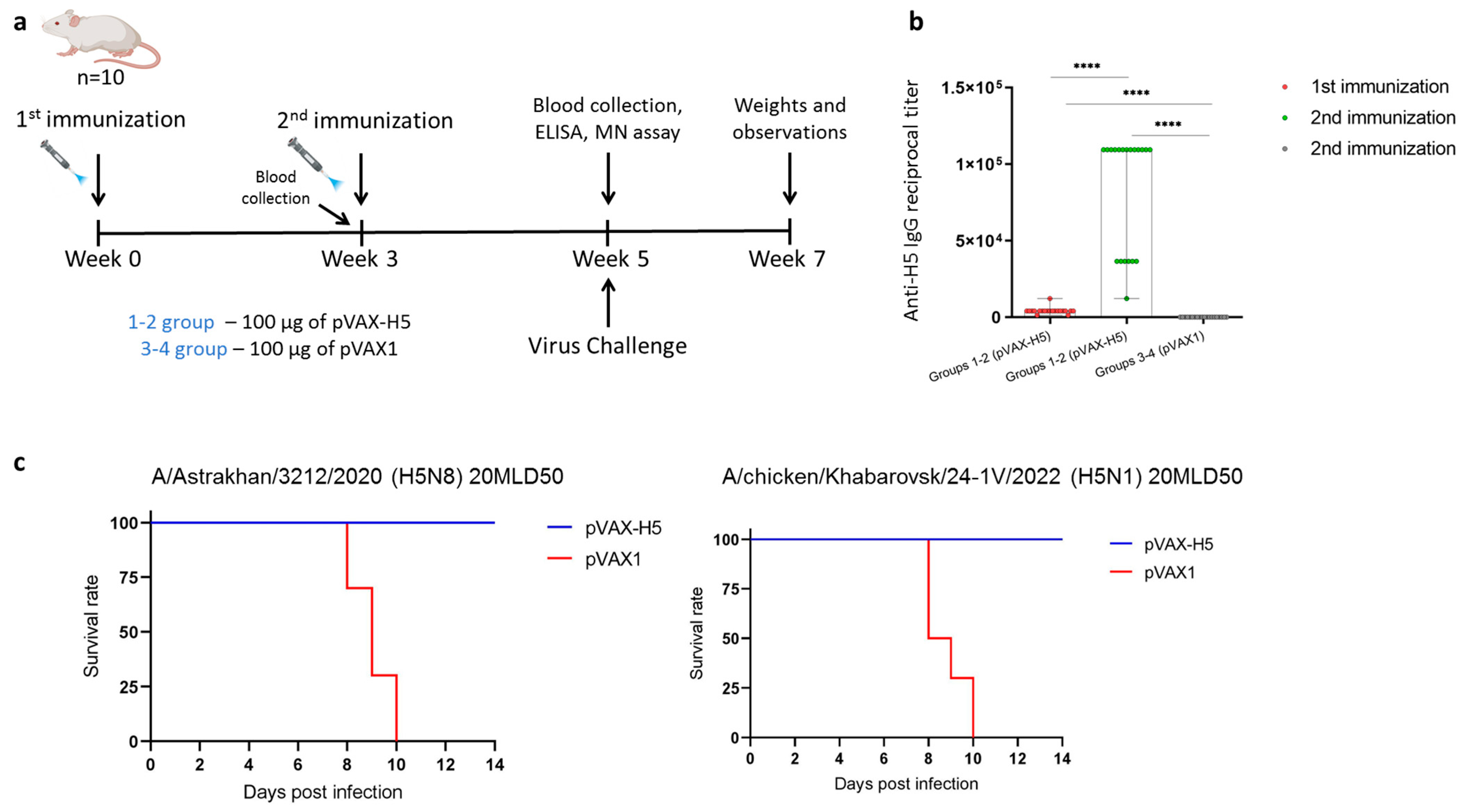 Viruses 17 00330 g003