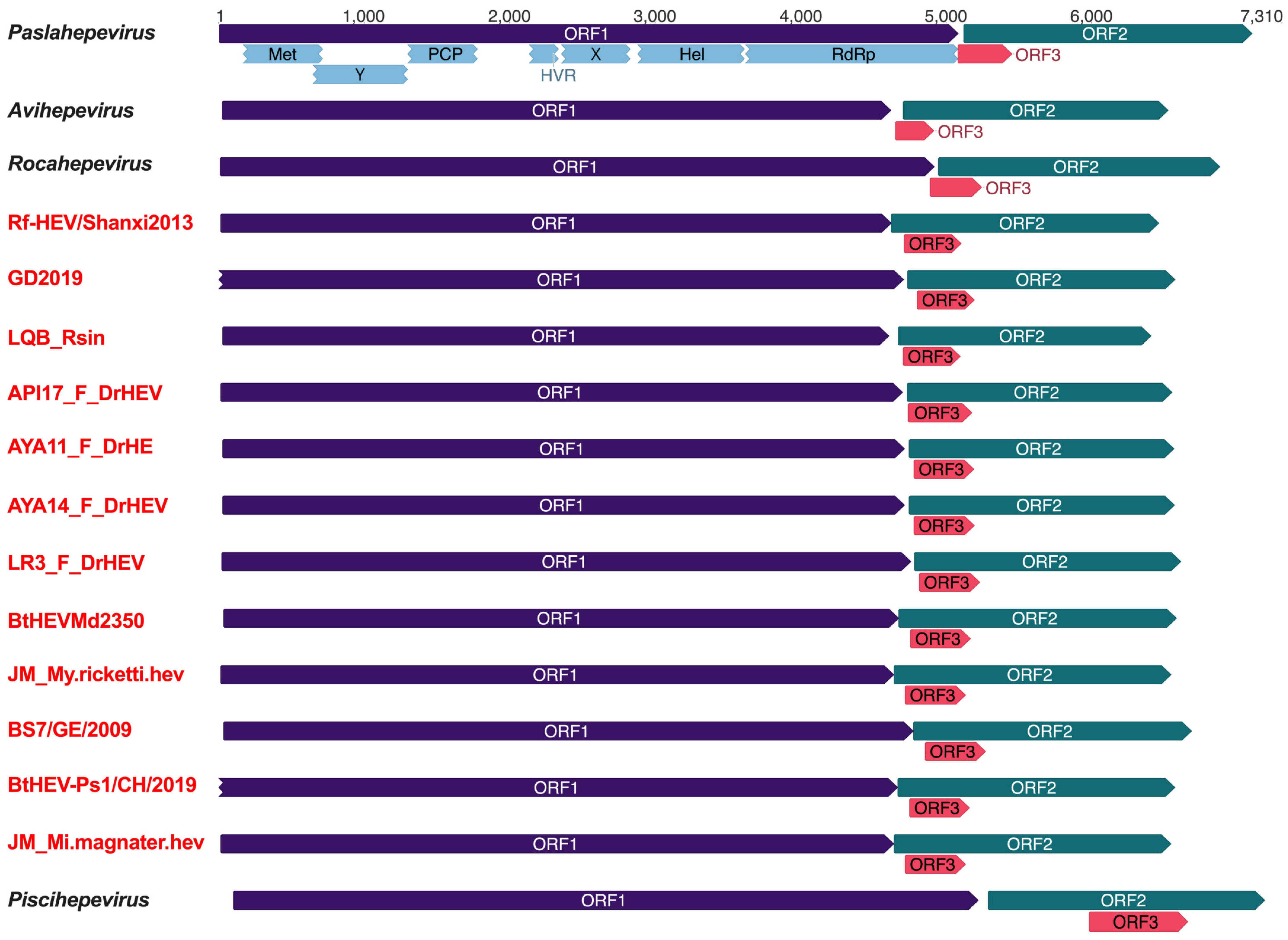 Viruses 17 00339 g002