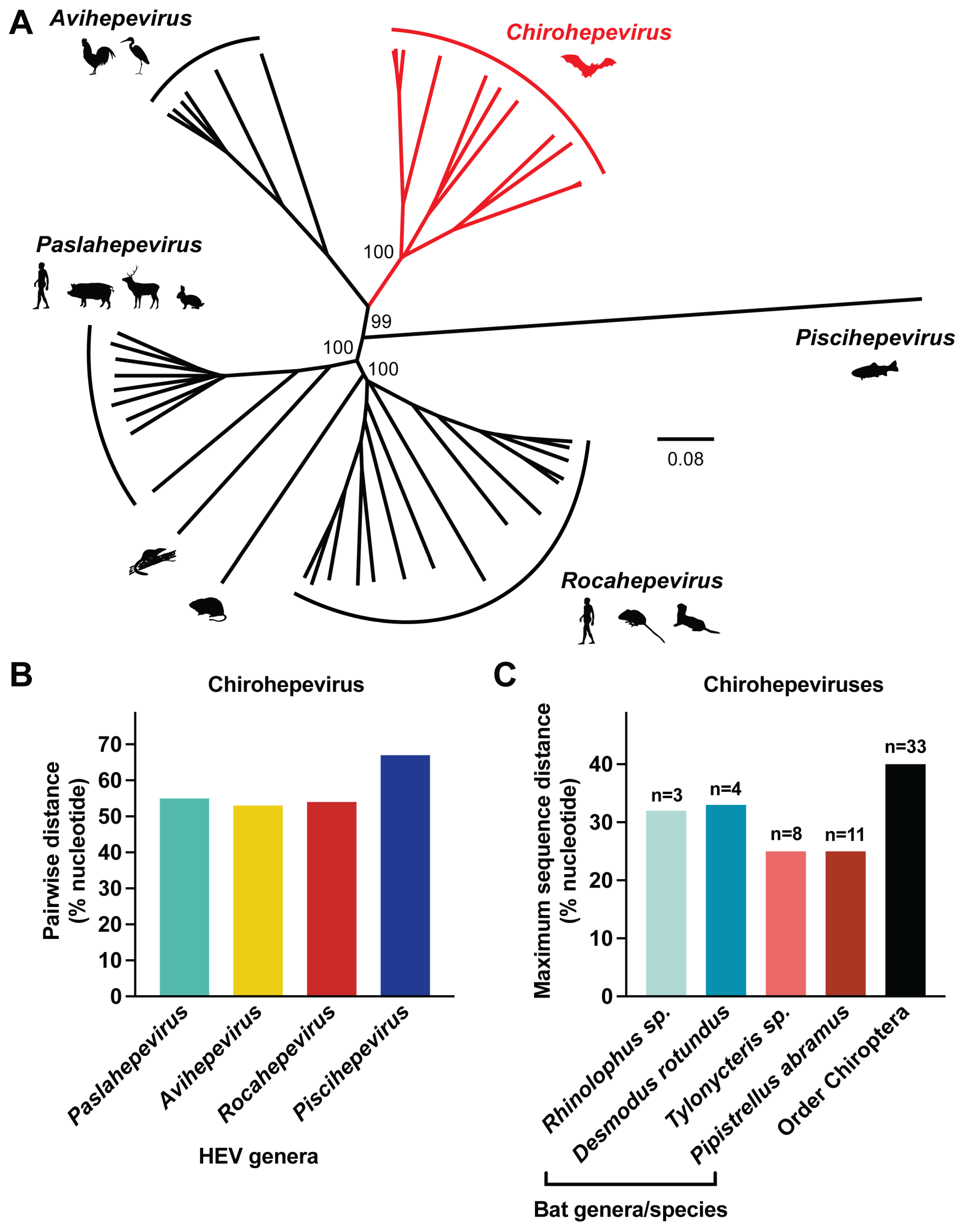 Viruses 17 00339 g003