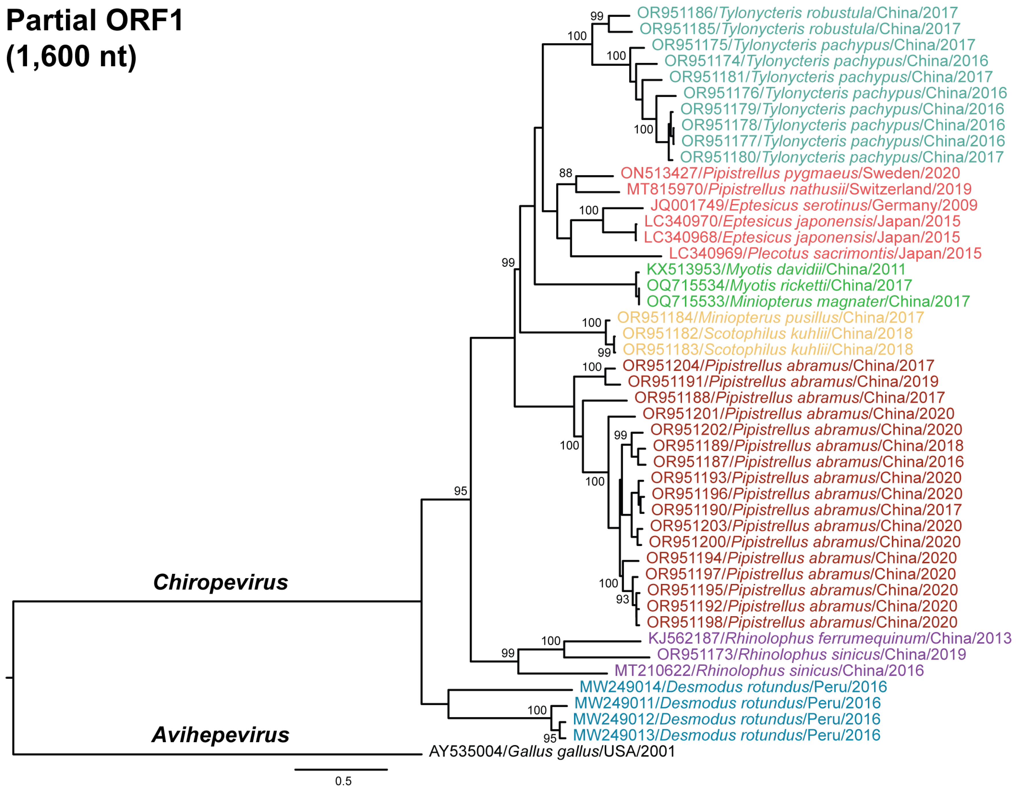 Viruses 17 00339 g004