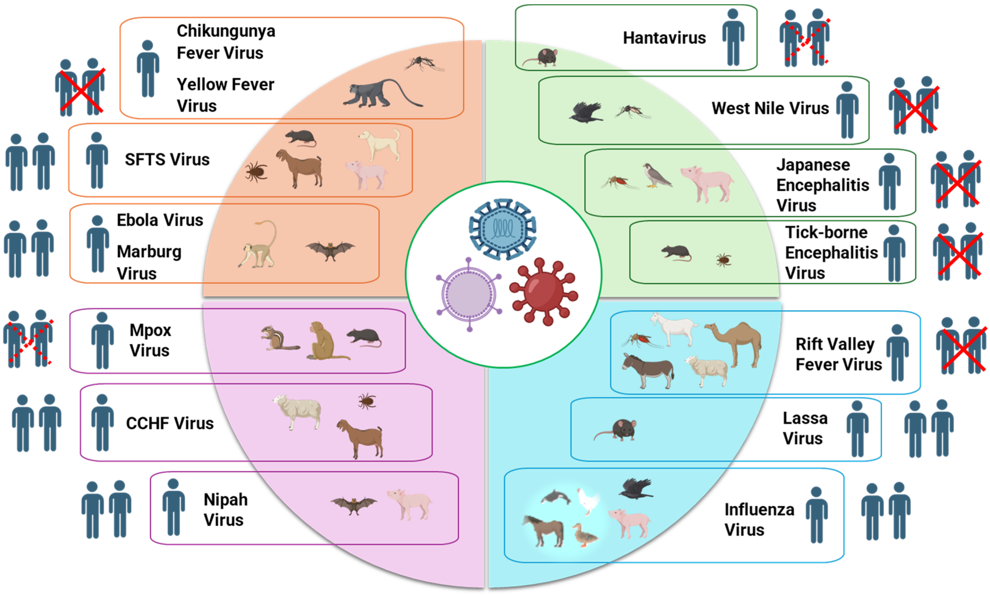 Viruses 17 00352 g001