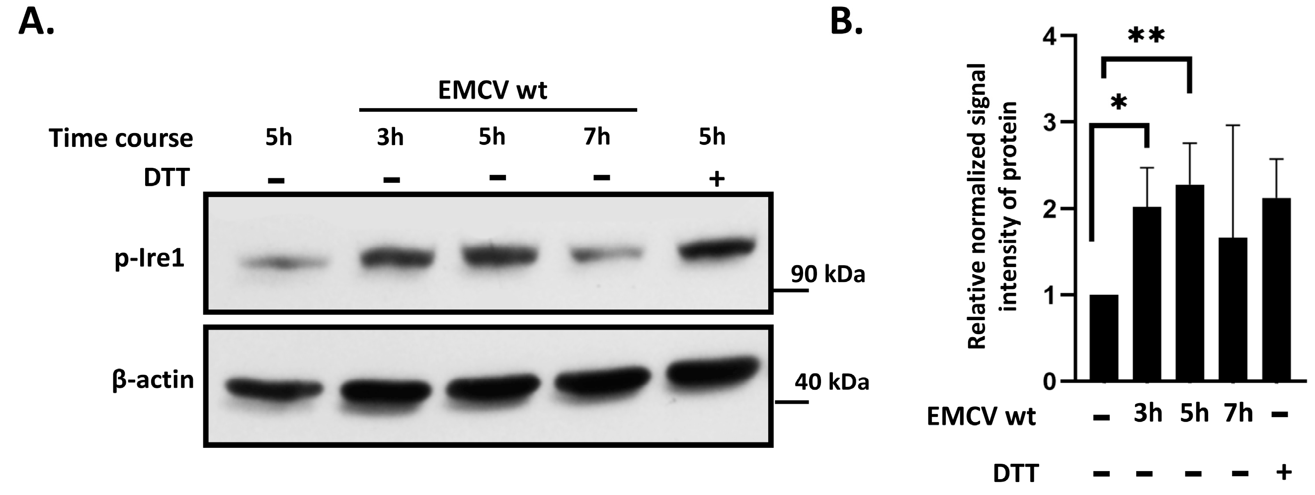 Viruses 17 00360 g001