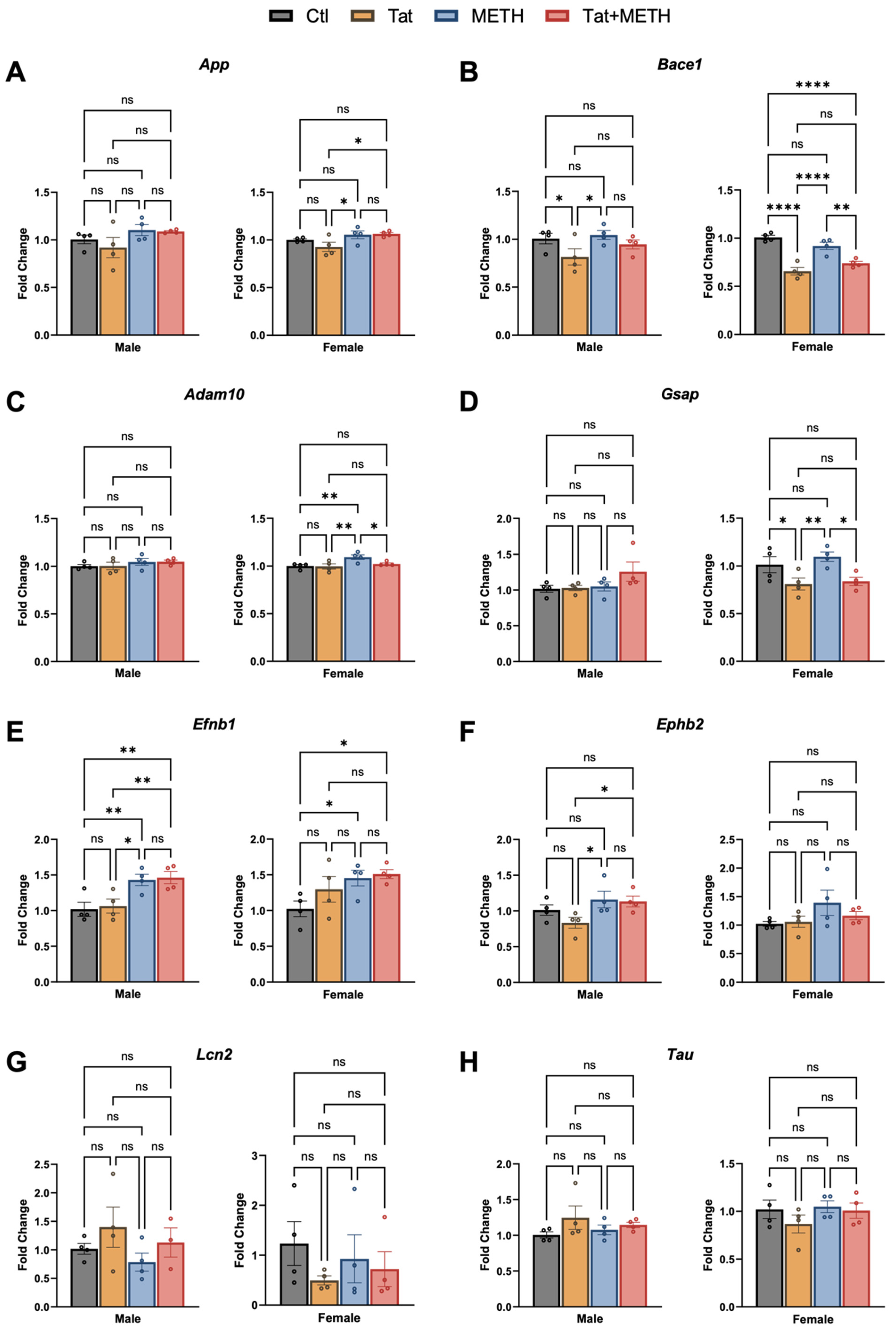 Viruses 17 00361 g005