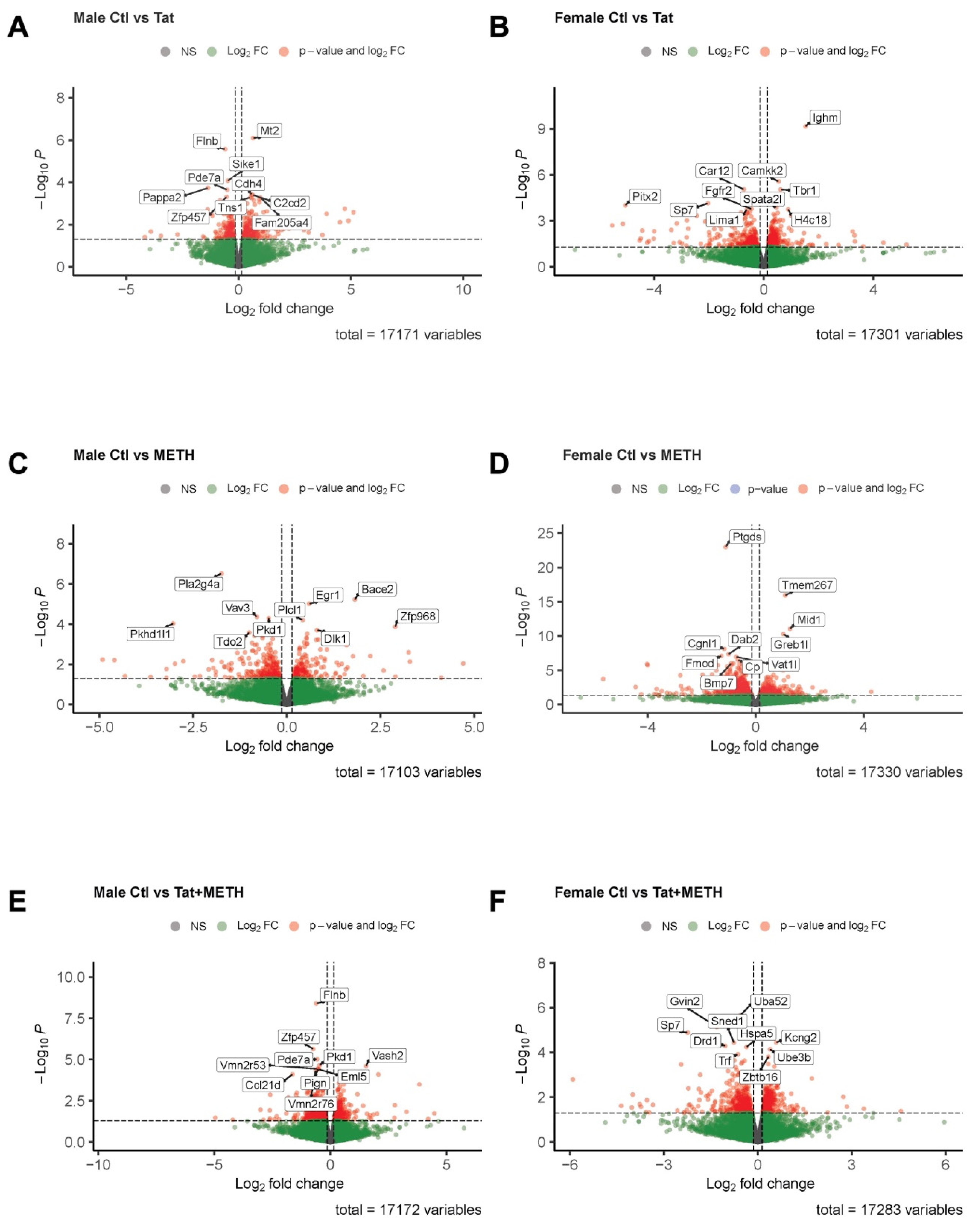 Viruses 17 00361 g006
