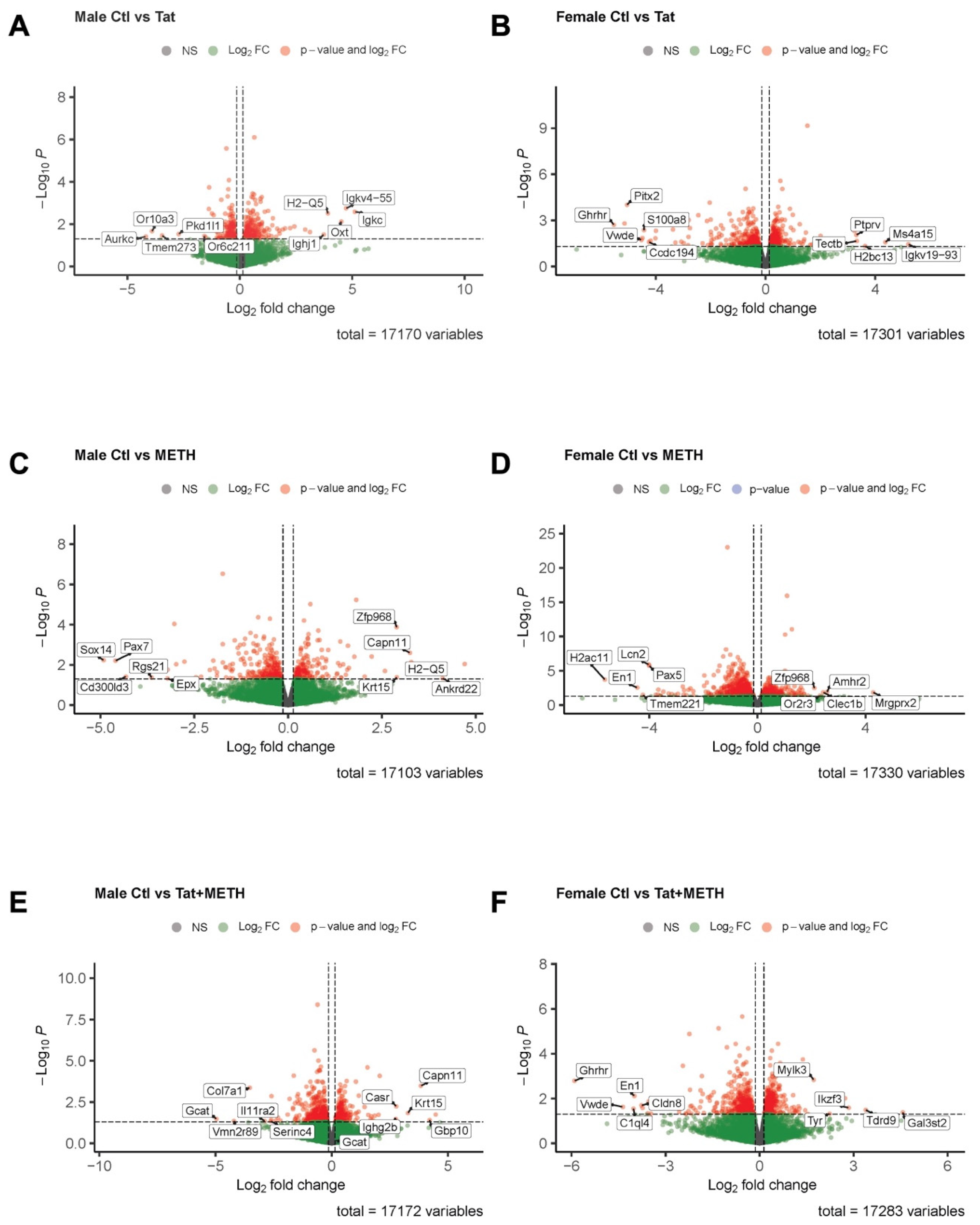 Viruses 17 00361 g007