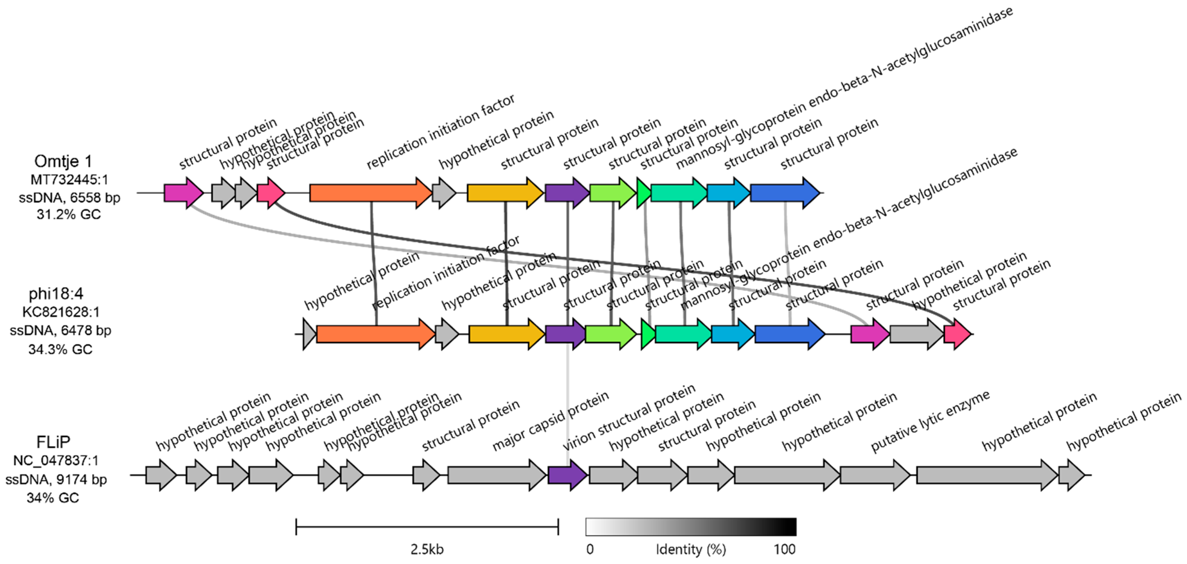 Viruses 17 00365 g002