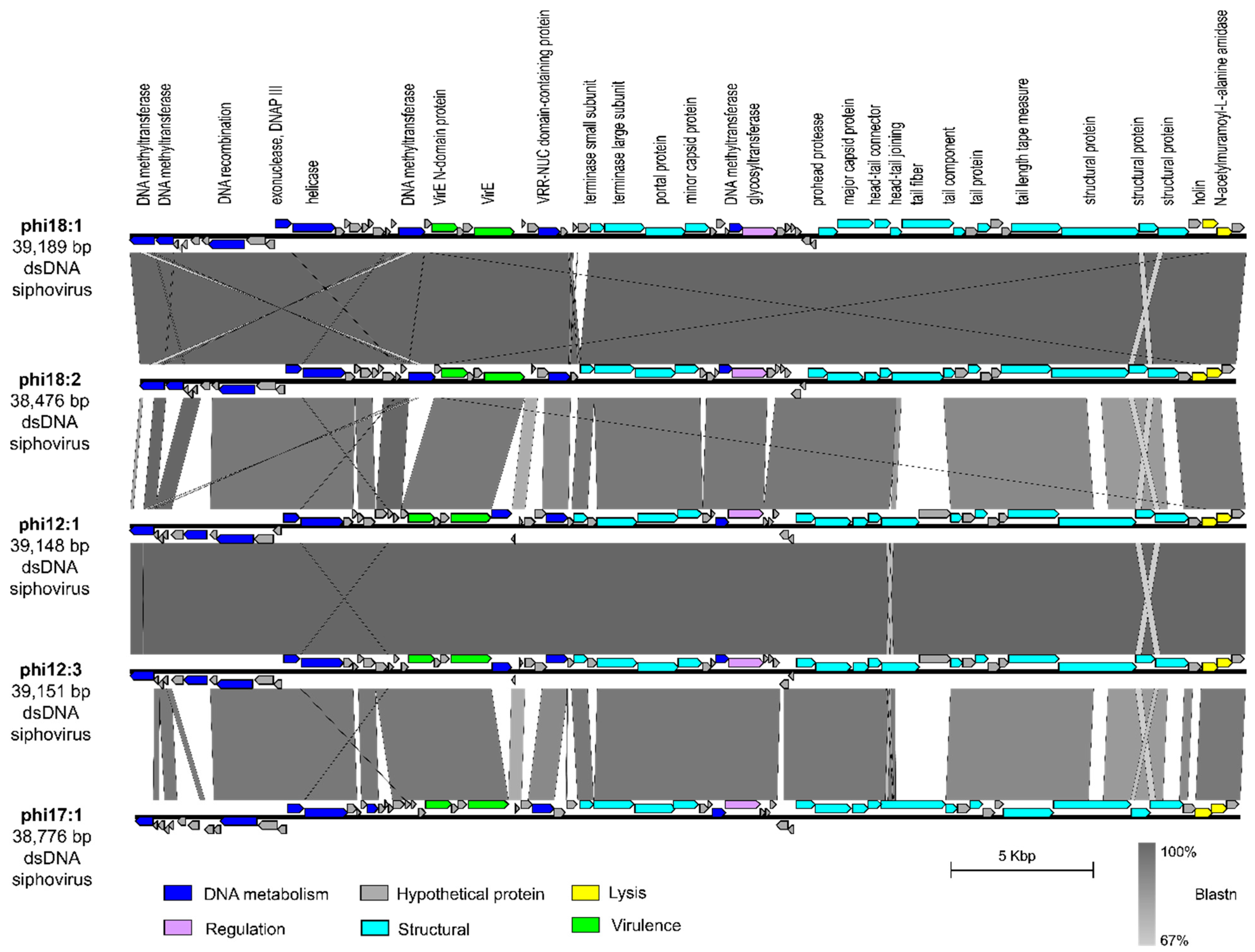 Viruses 17 00365 g003