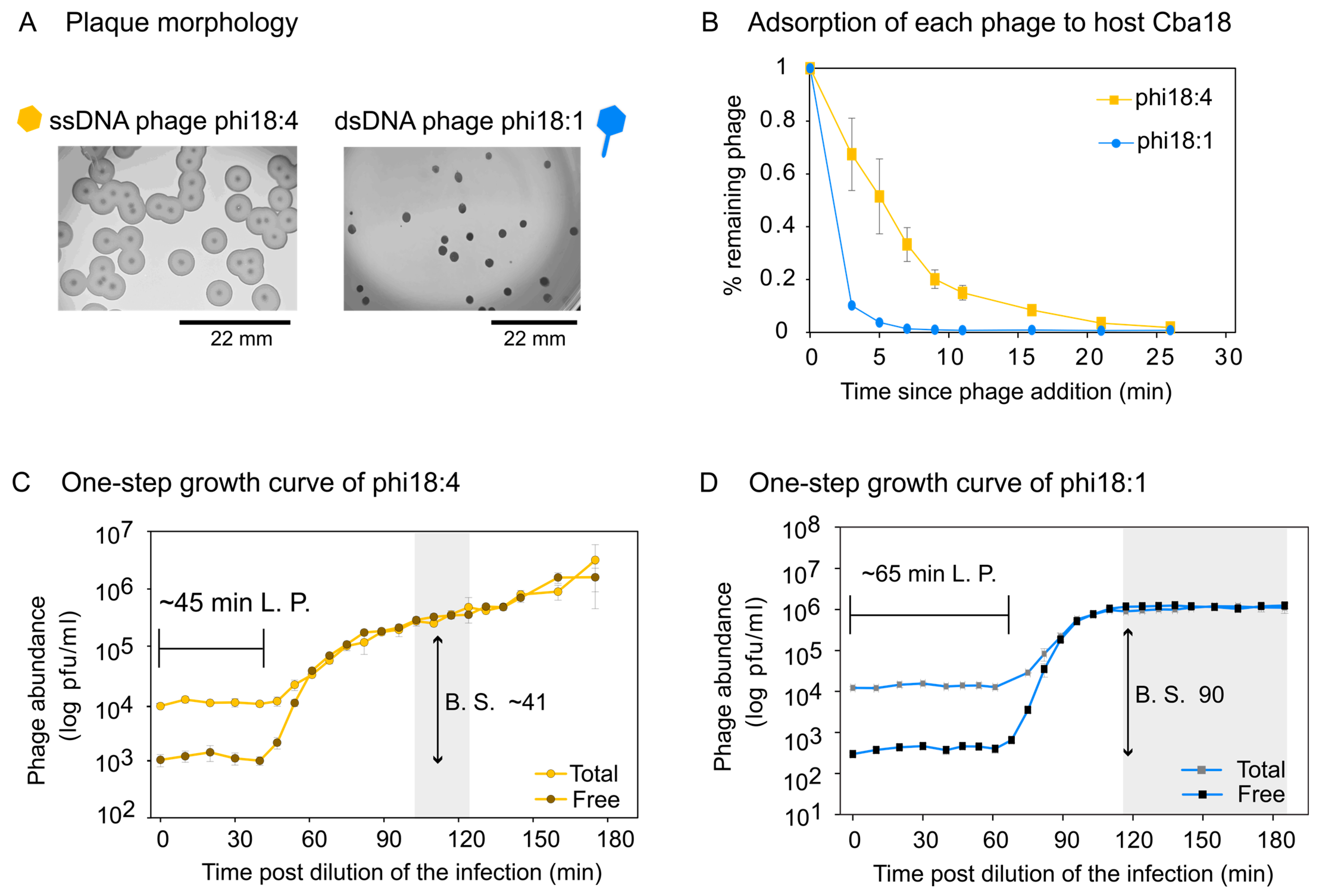 Viruses 17 00365 g004