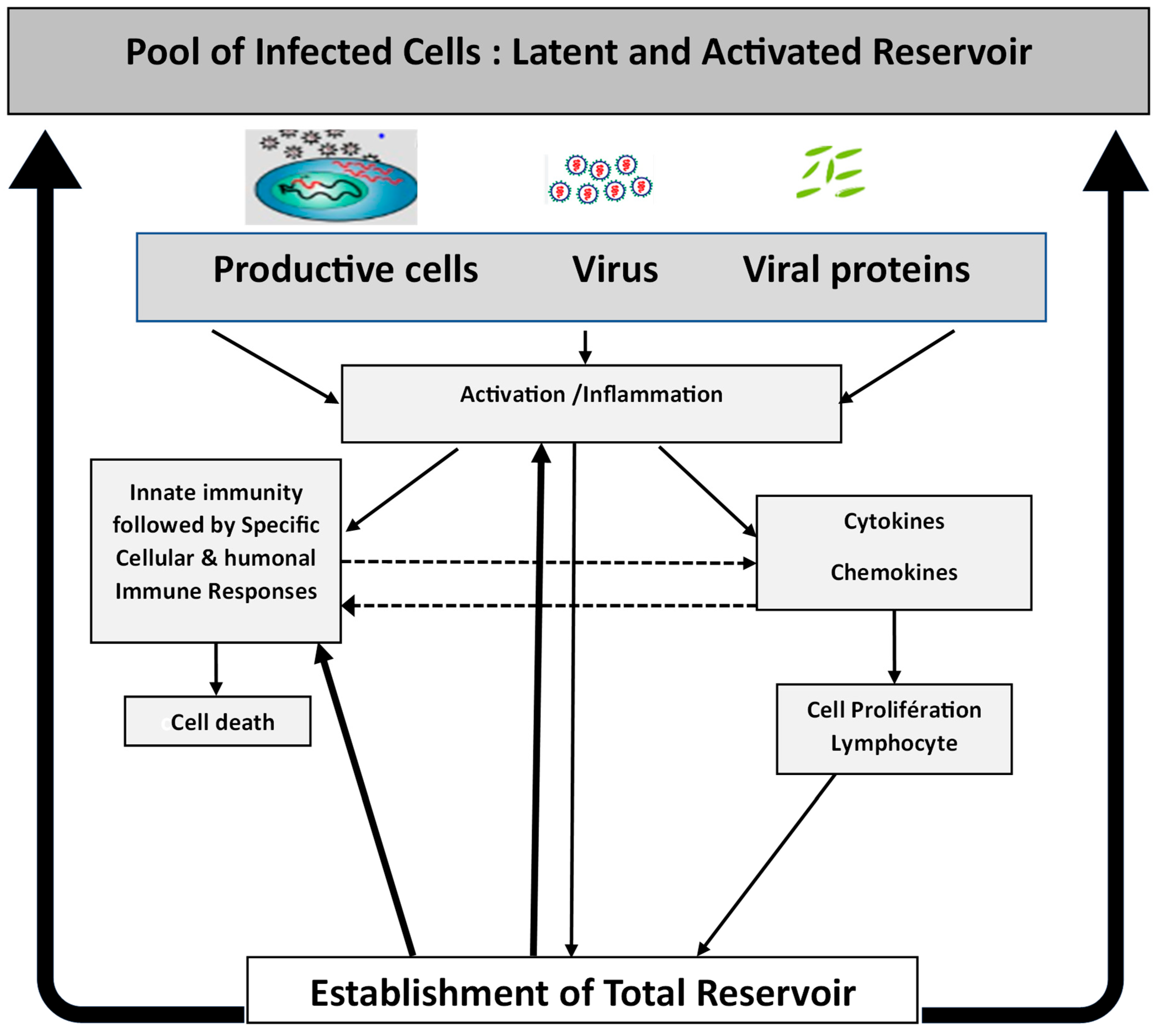 Viruses 17 00366 g001