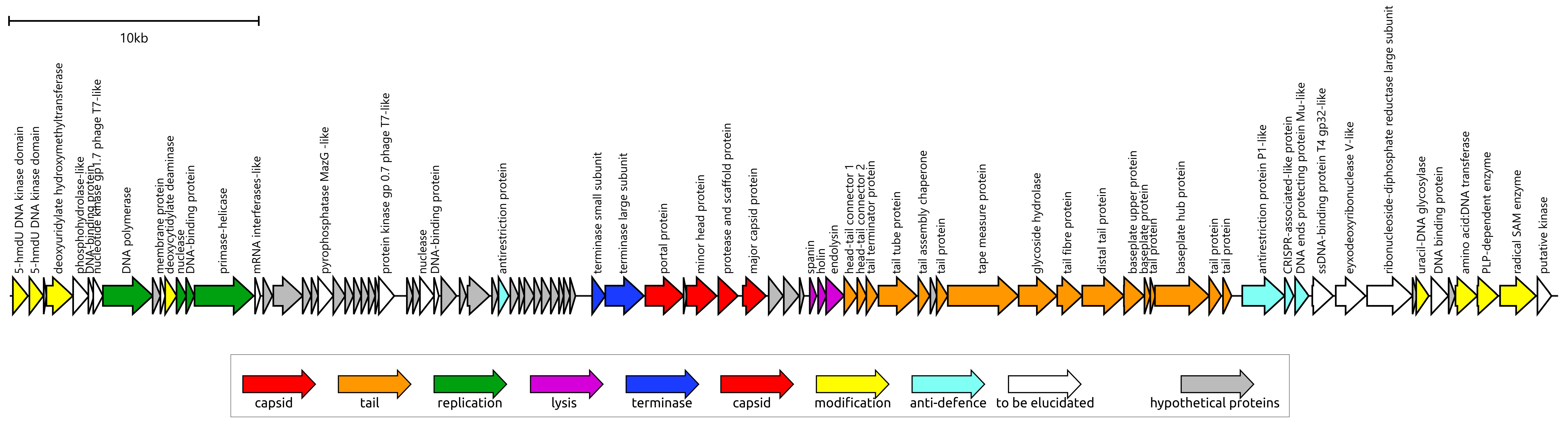 Viruses 17 00369 g003