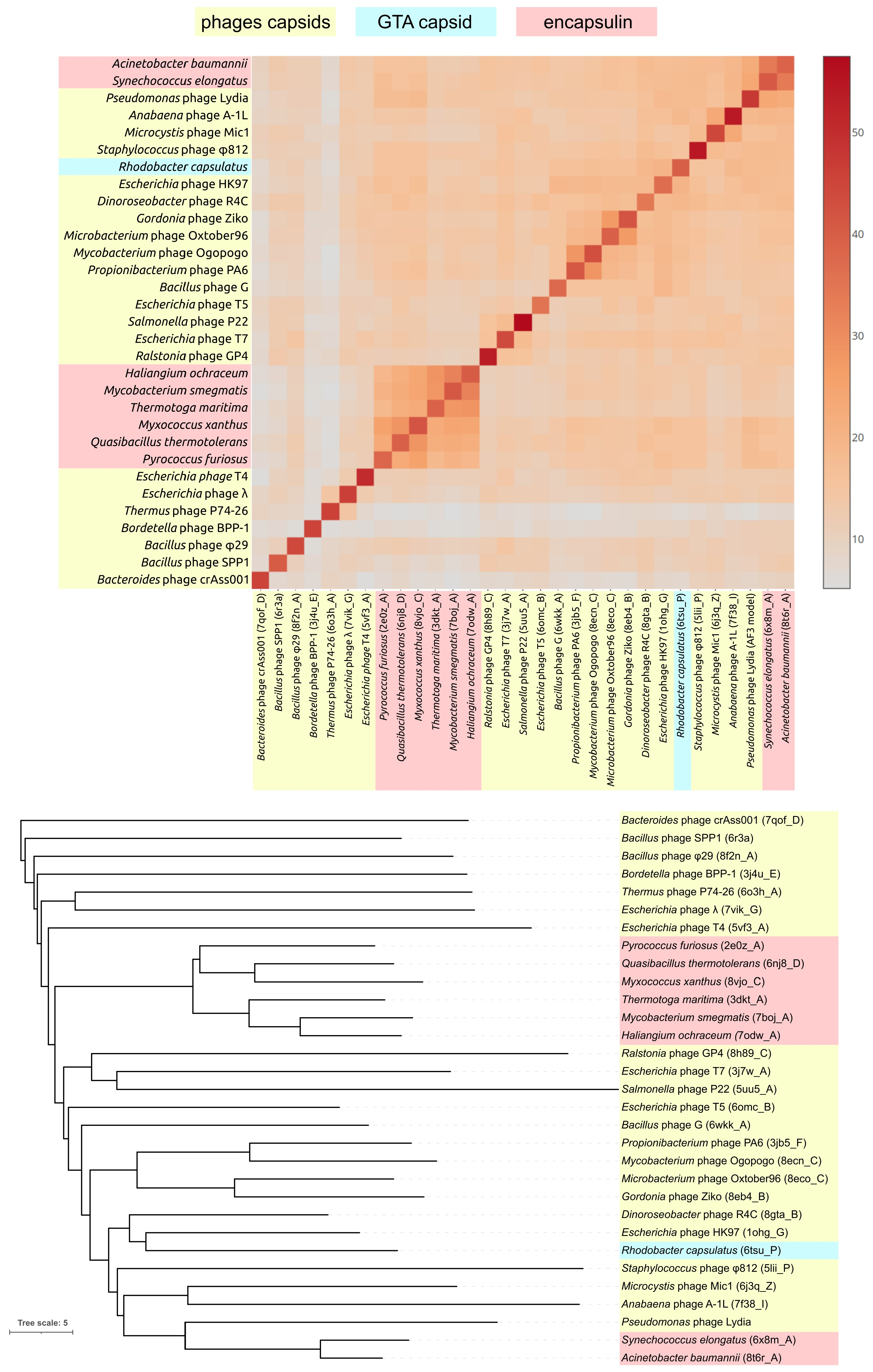 Viruses 17 00369 g004