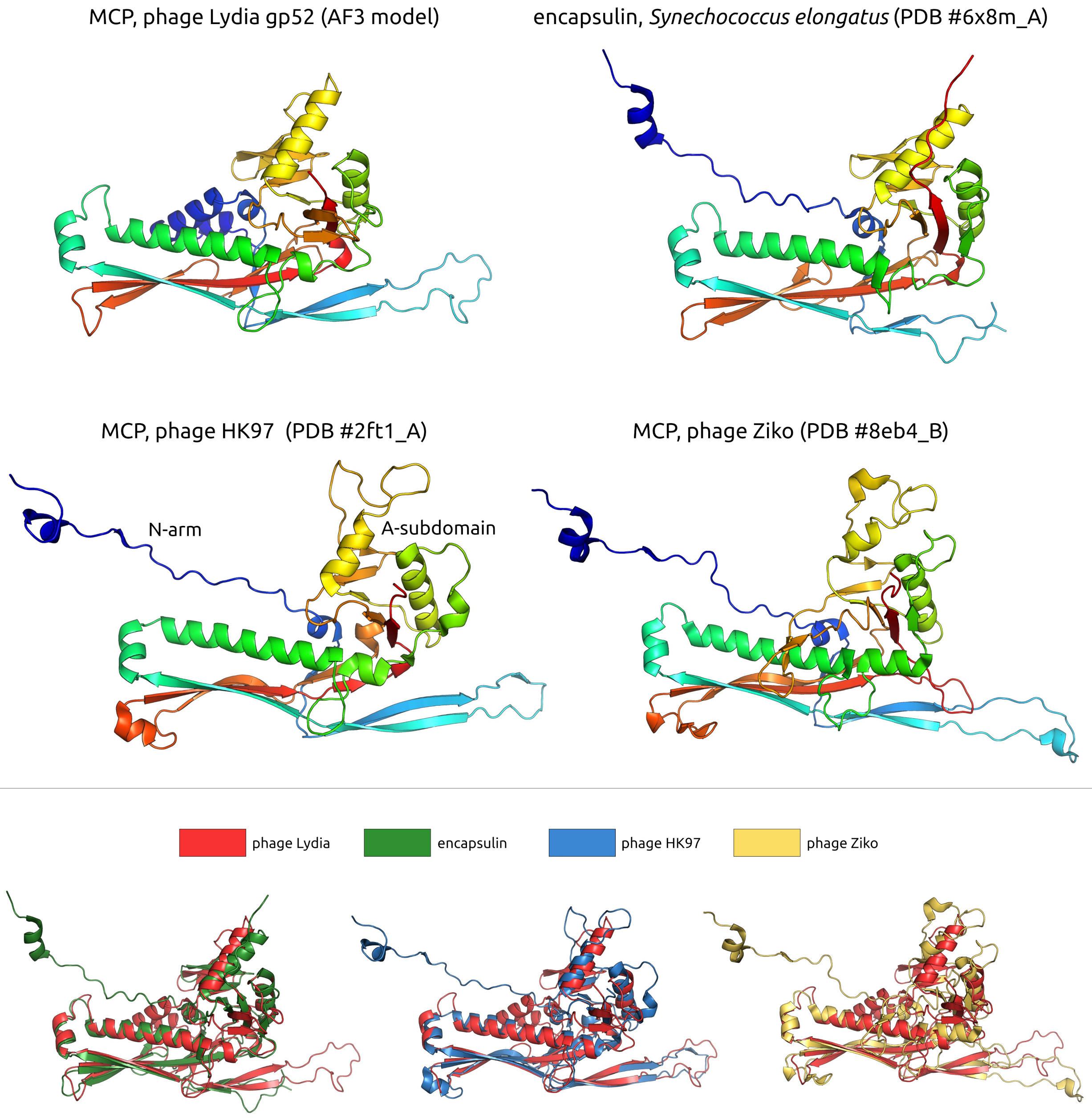 Viruses 17 00369 g005