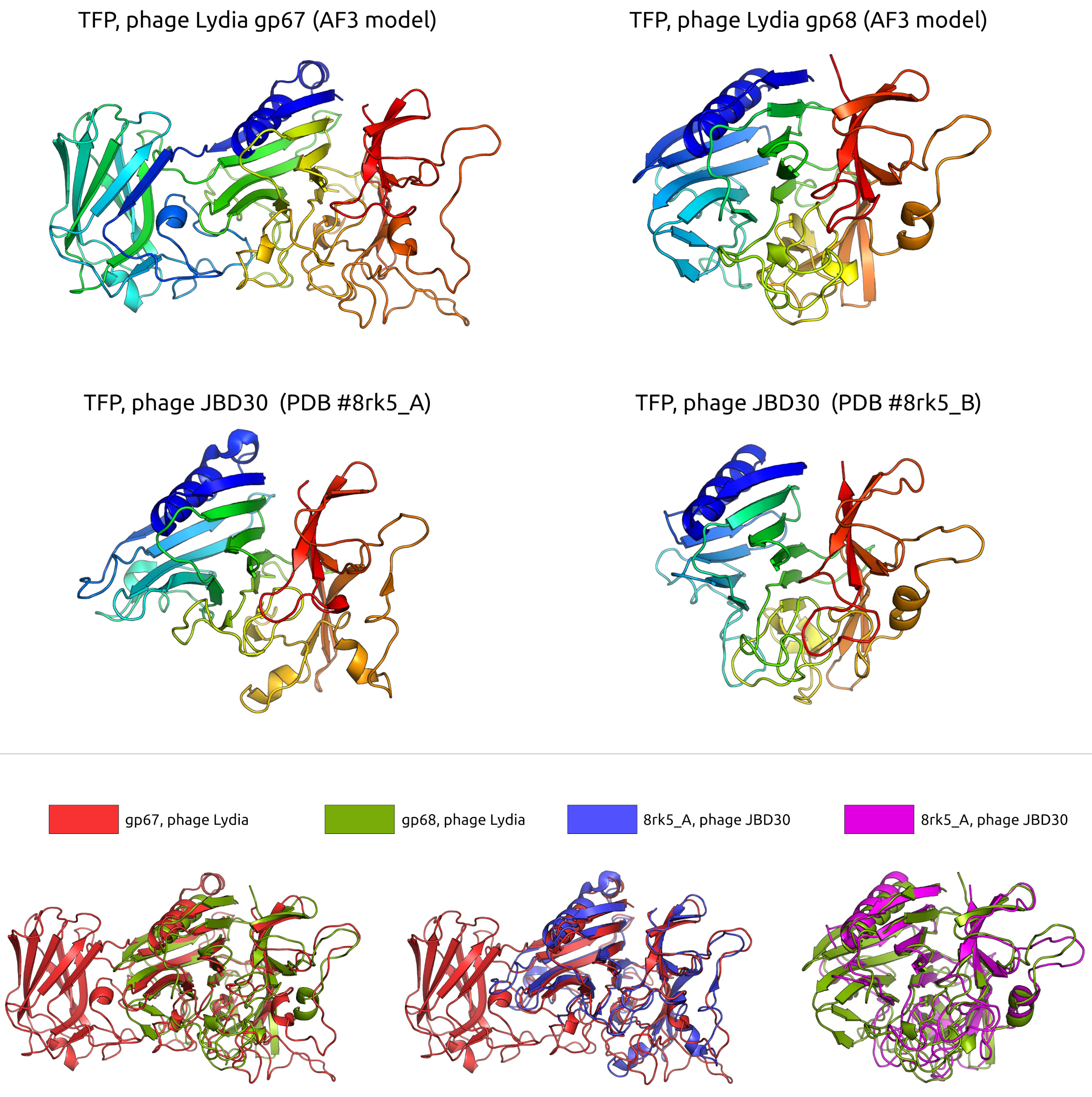 Viruses 17 00369 g006