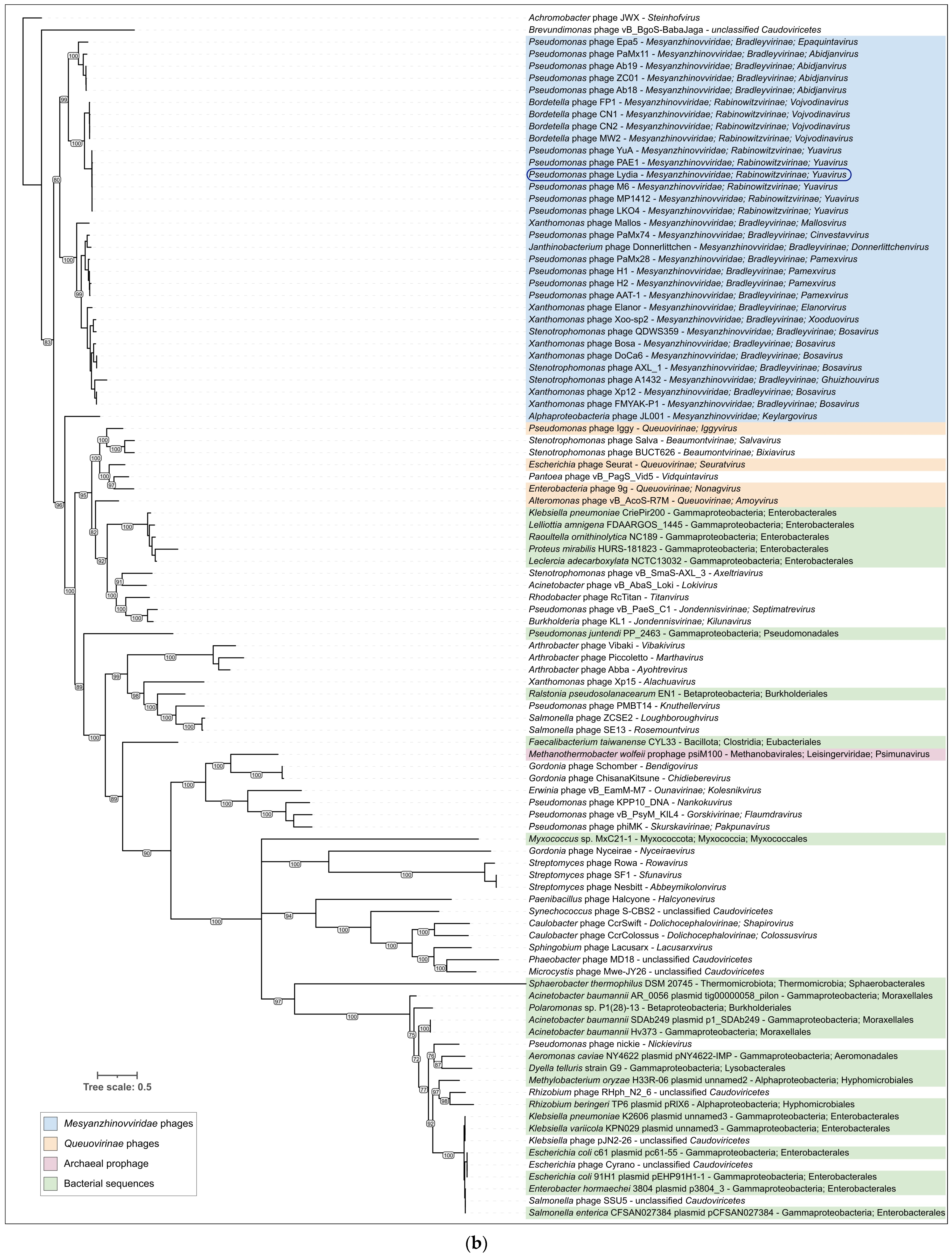 Viruses 17 00369 g009b