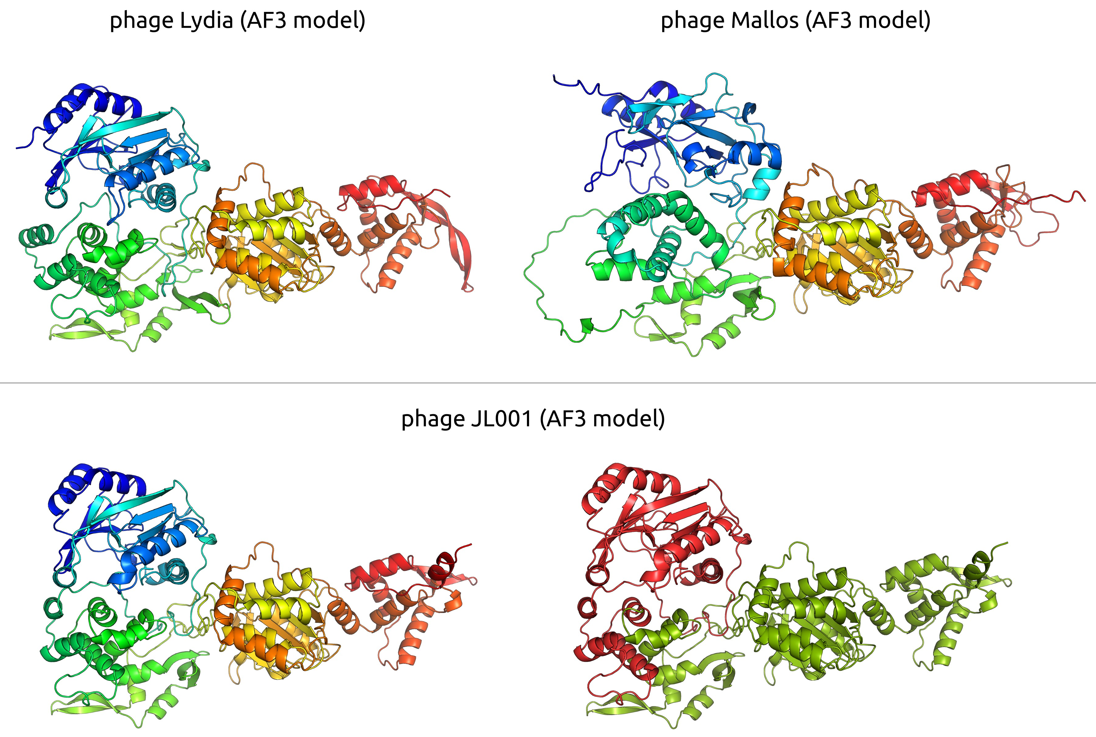 Viruses 17 00369 g011