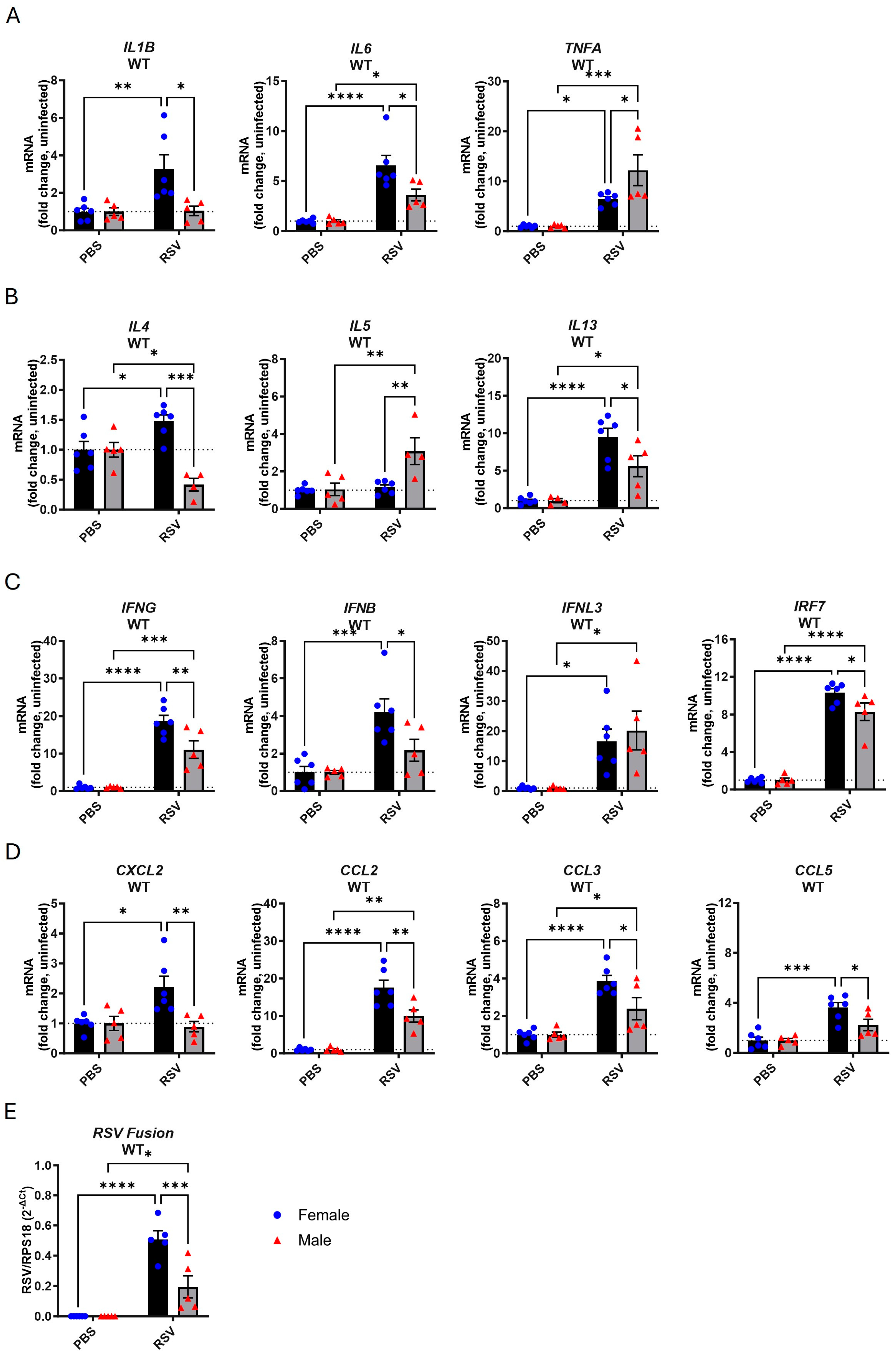 Viruses 17 00428 g001