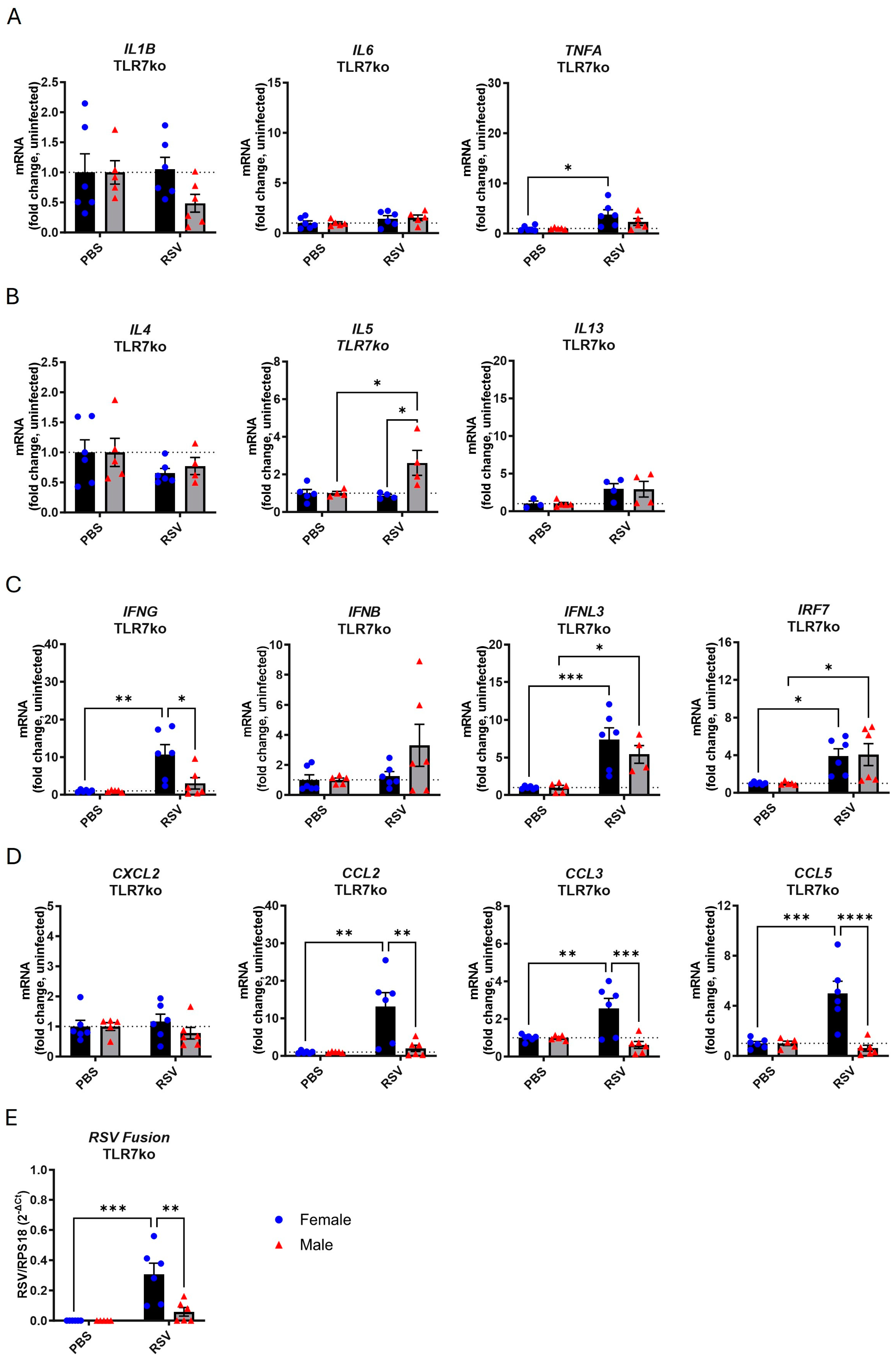 Viruses 17 00428 g003