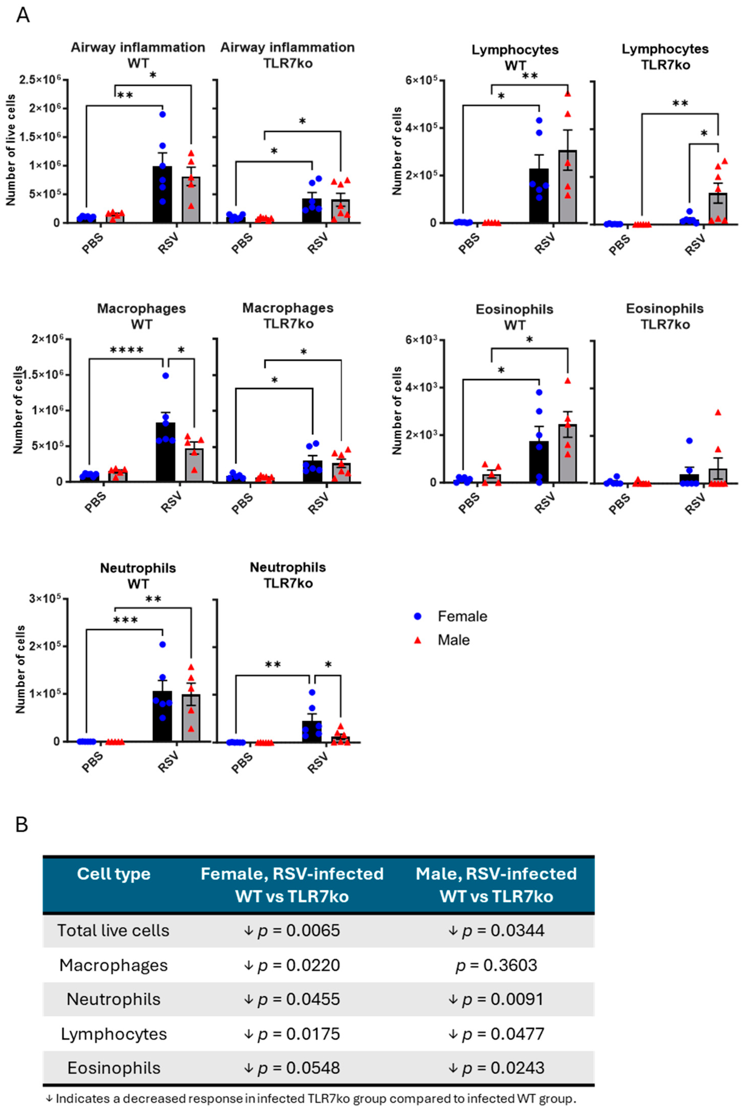 Viruses 17 00428 g004