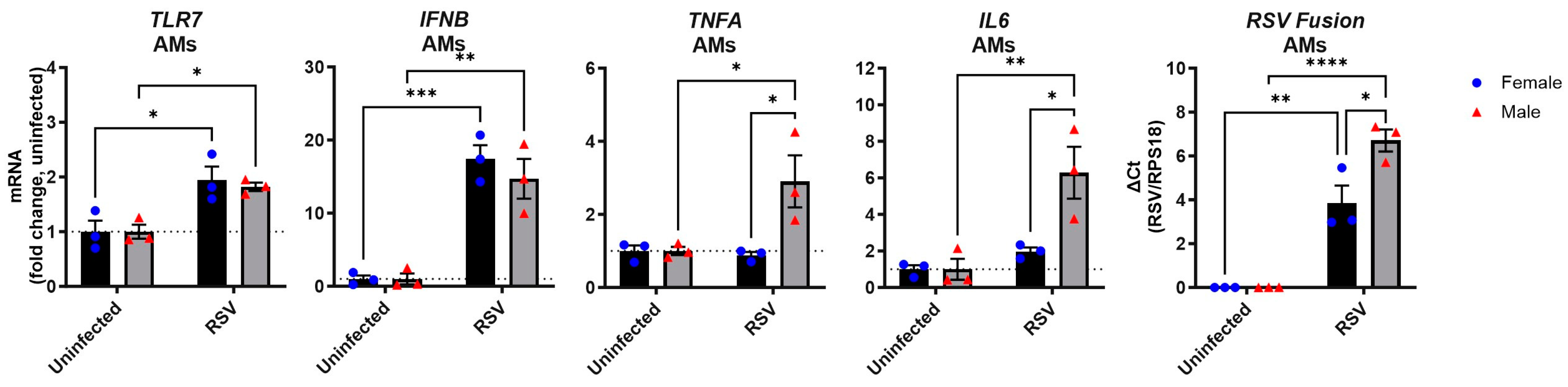 Viruses 17 00428 g005
