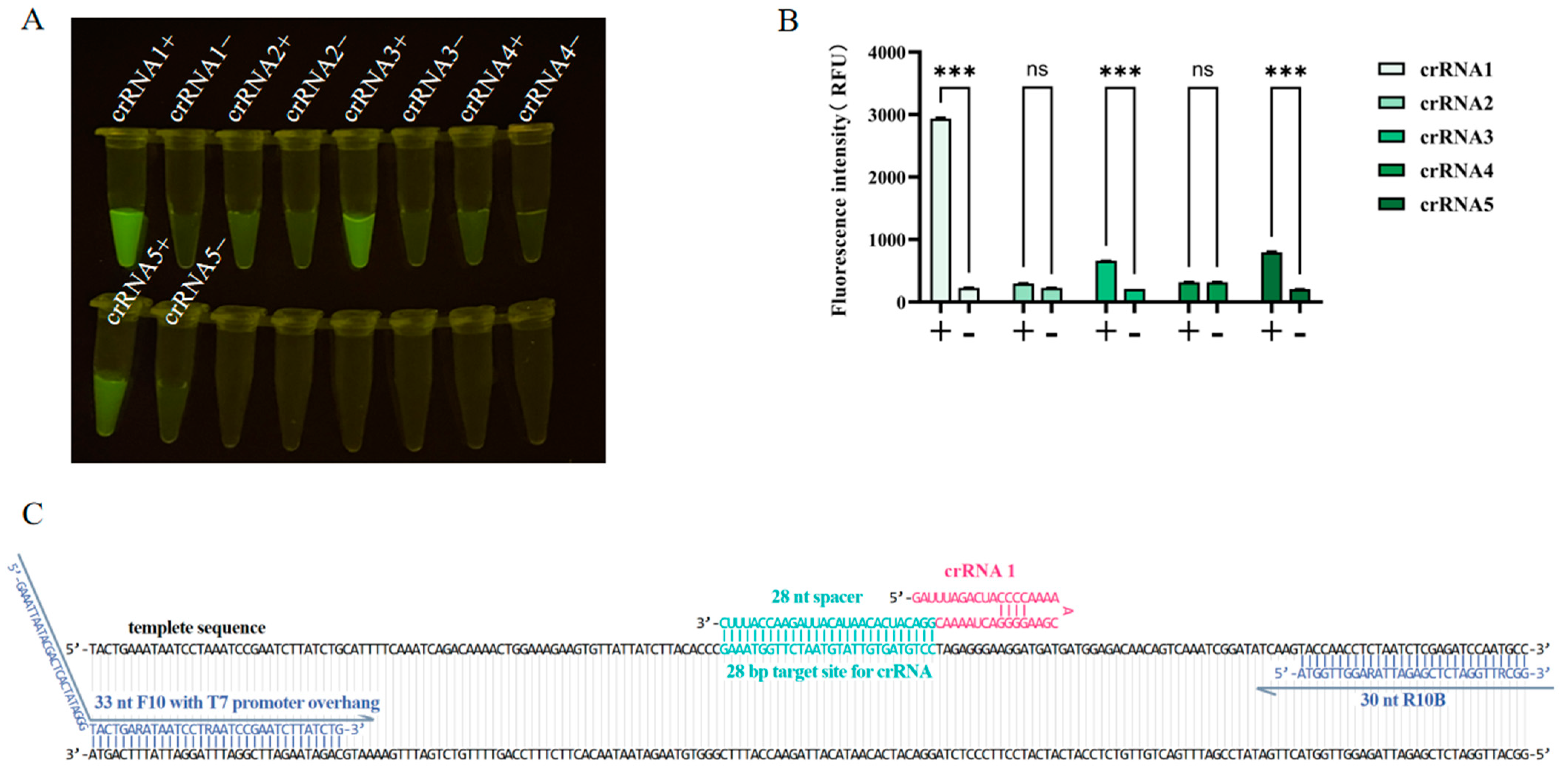 Viruses 17 00483 g004