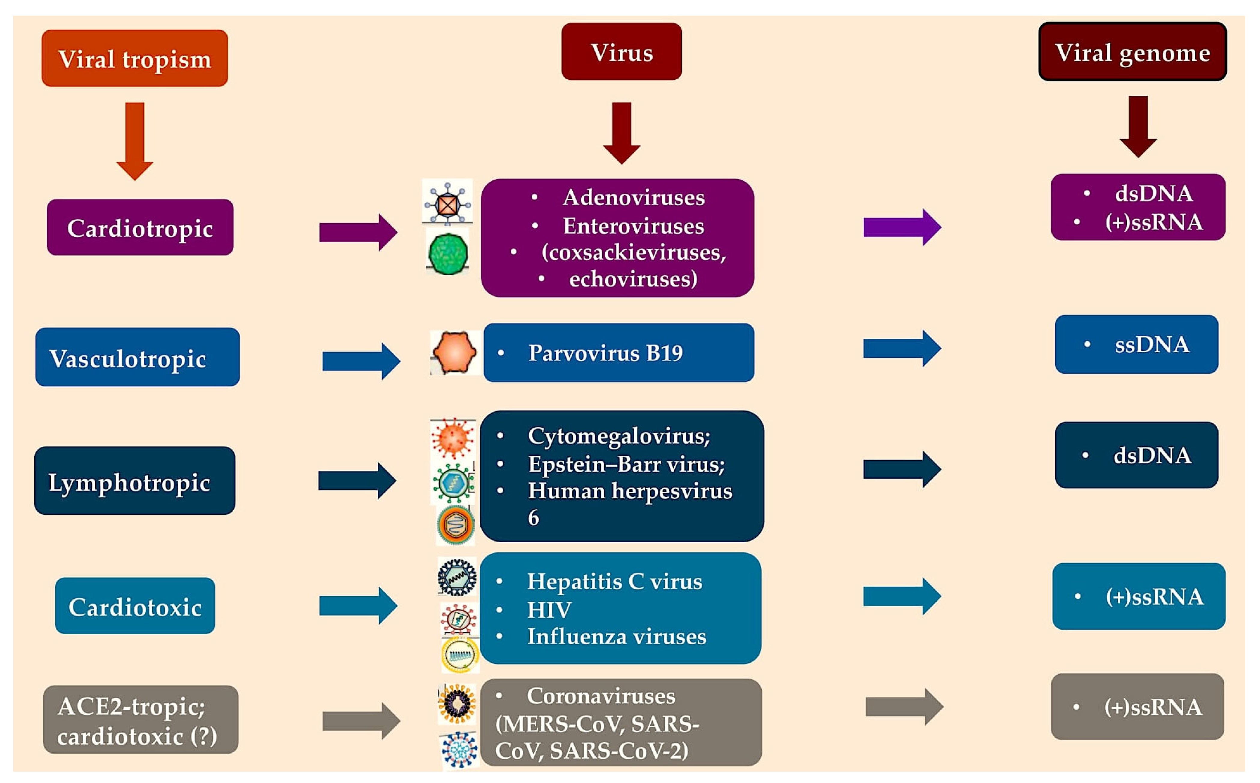 Viruses 17 00484 g001 Viruses 17 00484 g001