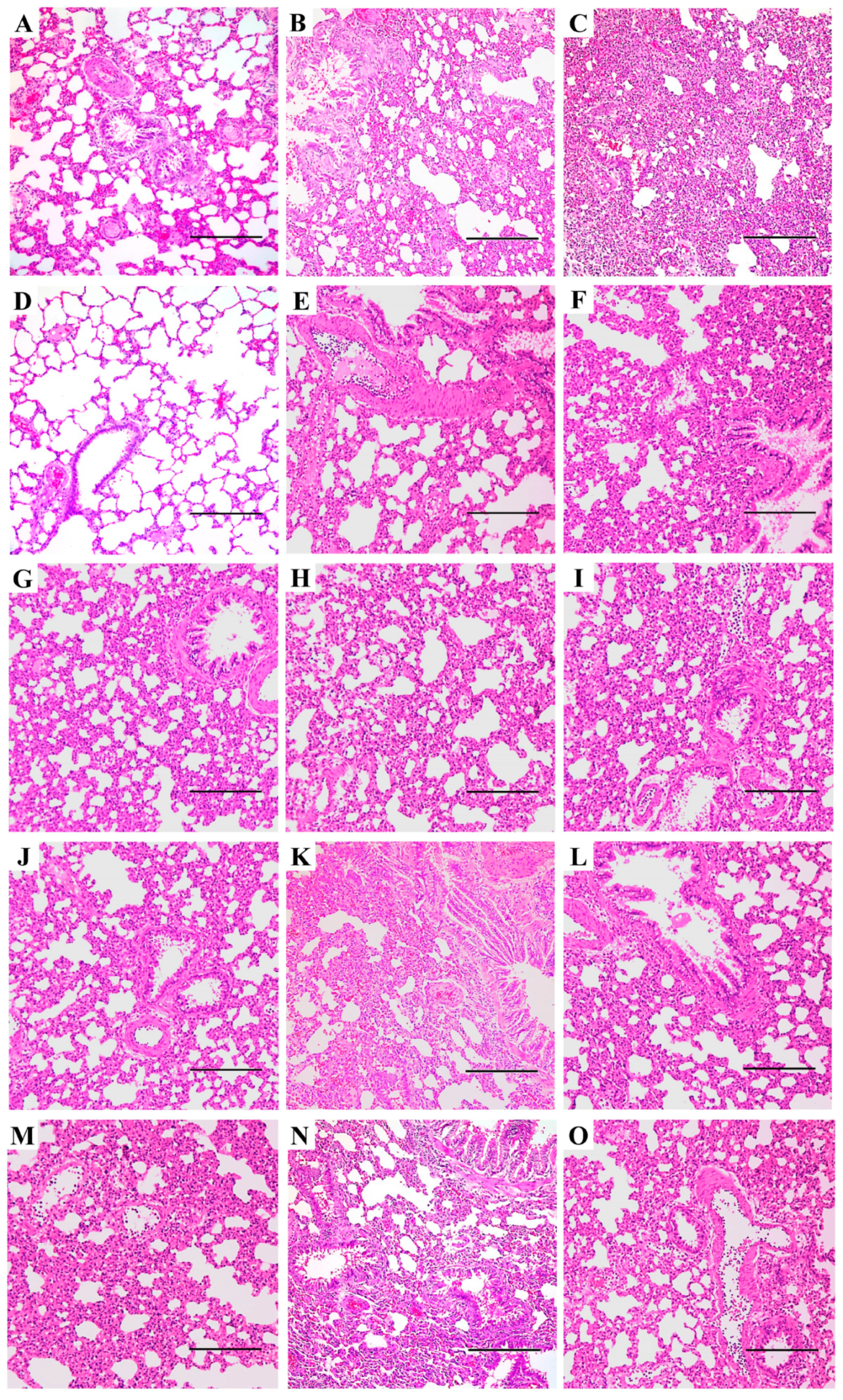 Viruses 17 00495 g004
