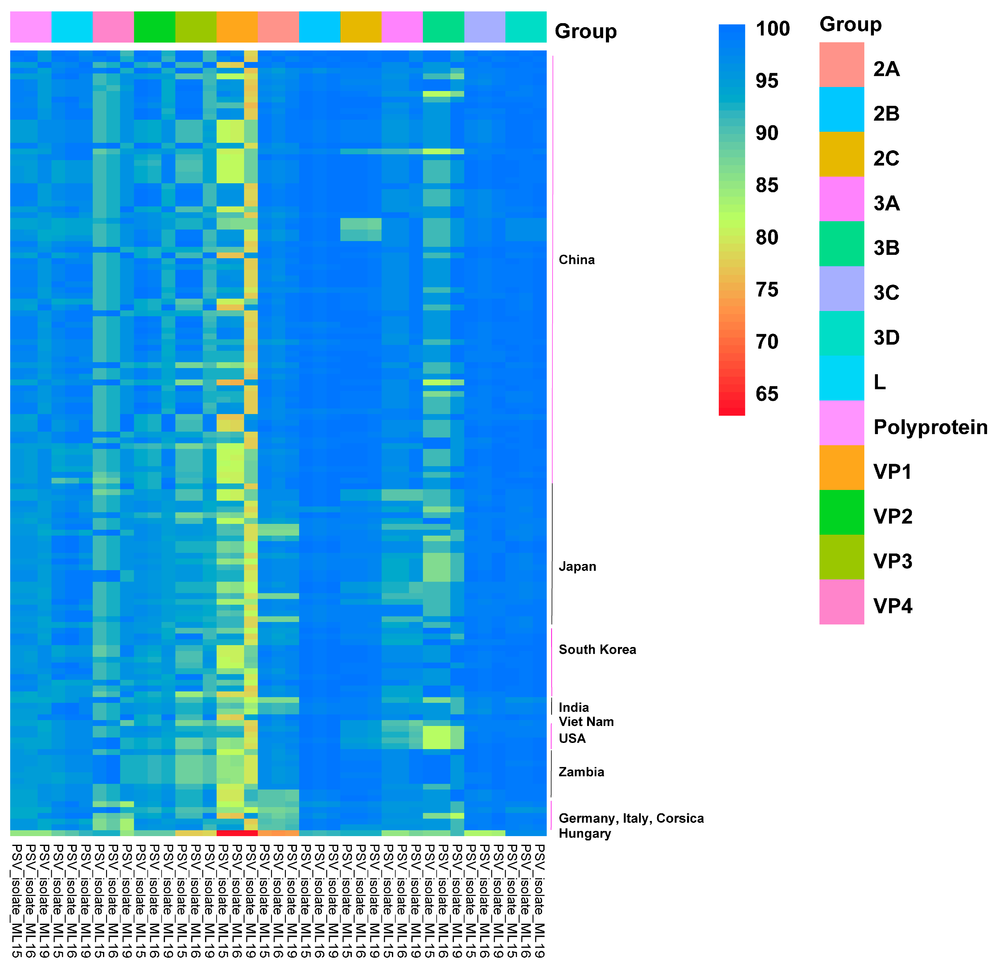 Viruses 17 00505 g004