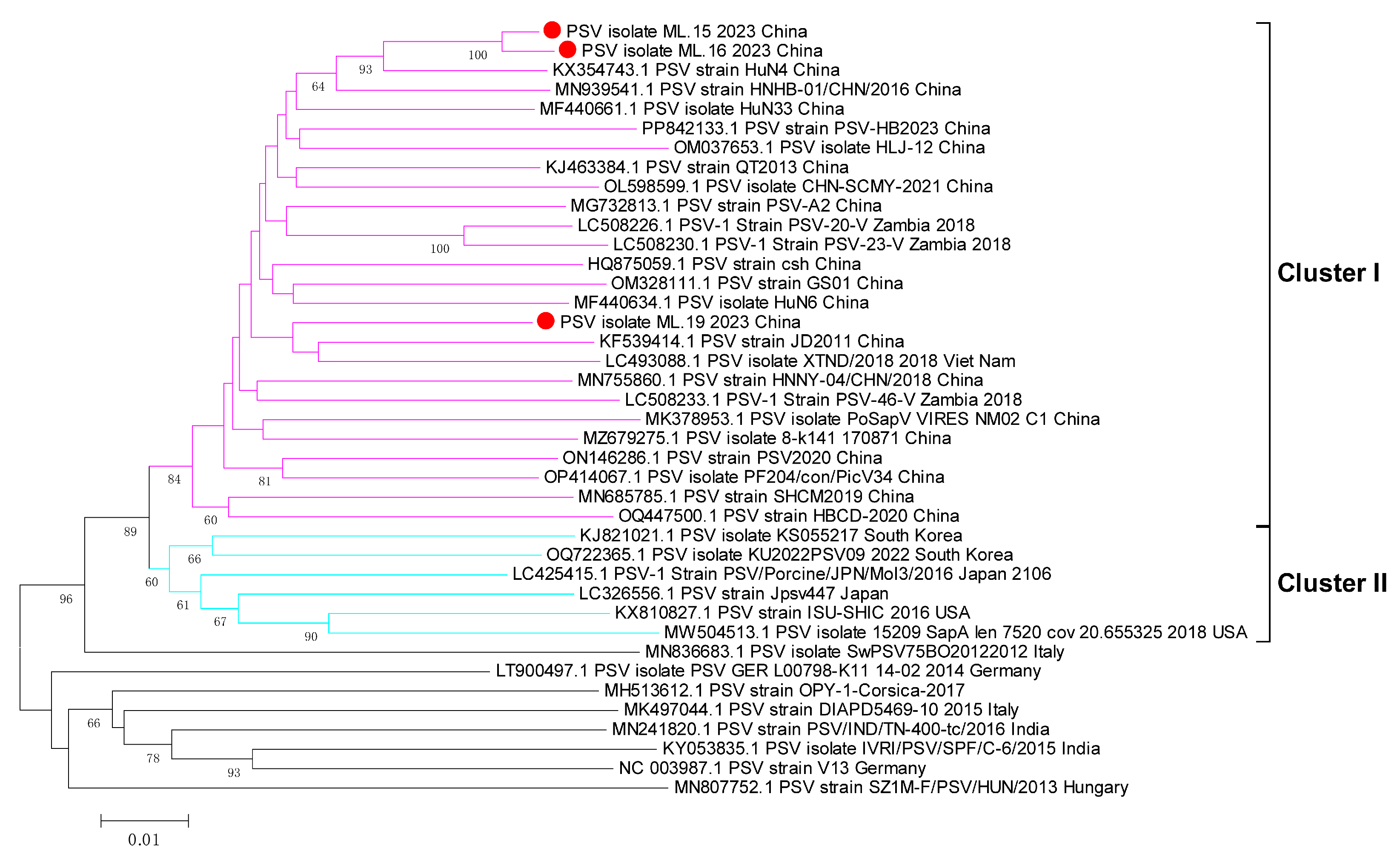 Viruses 17 00505 g006