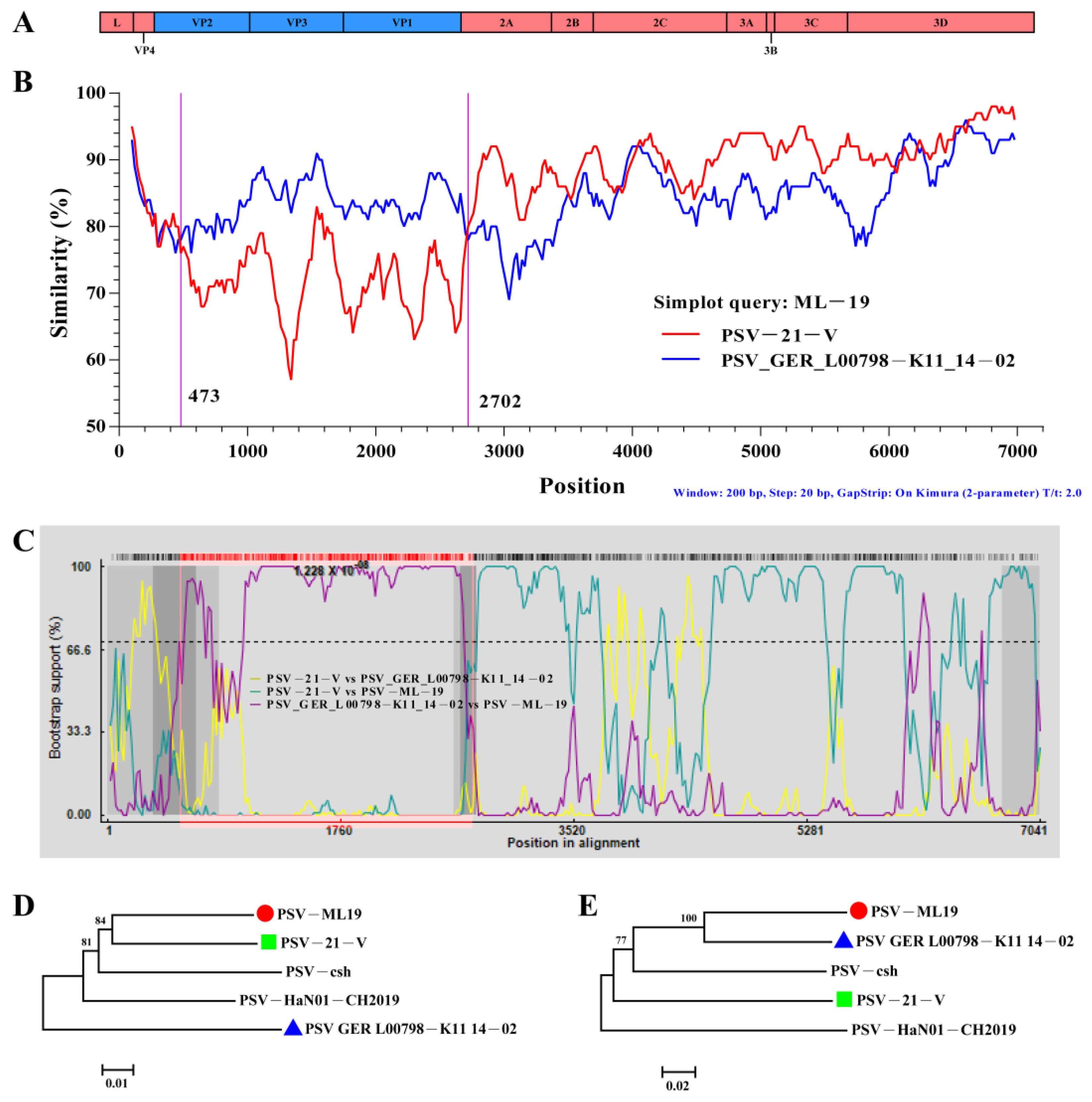 Viruses 17 00505 g008