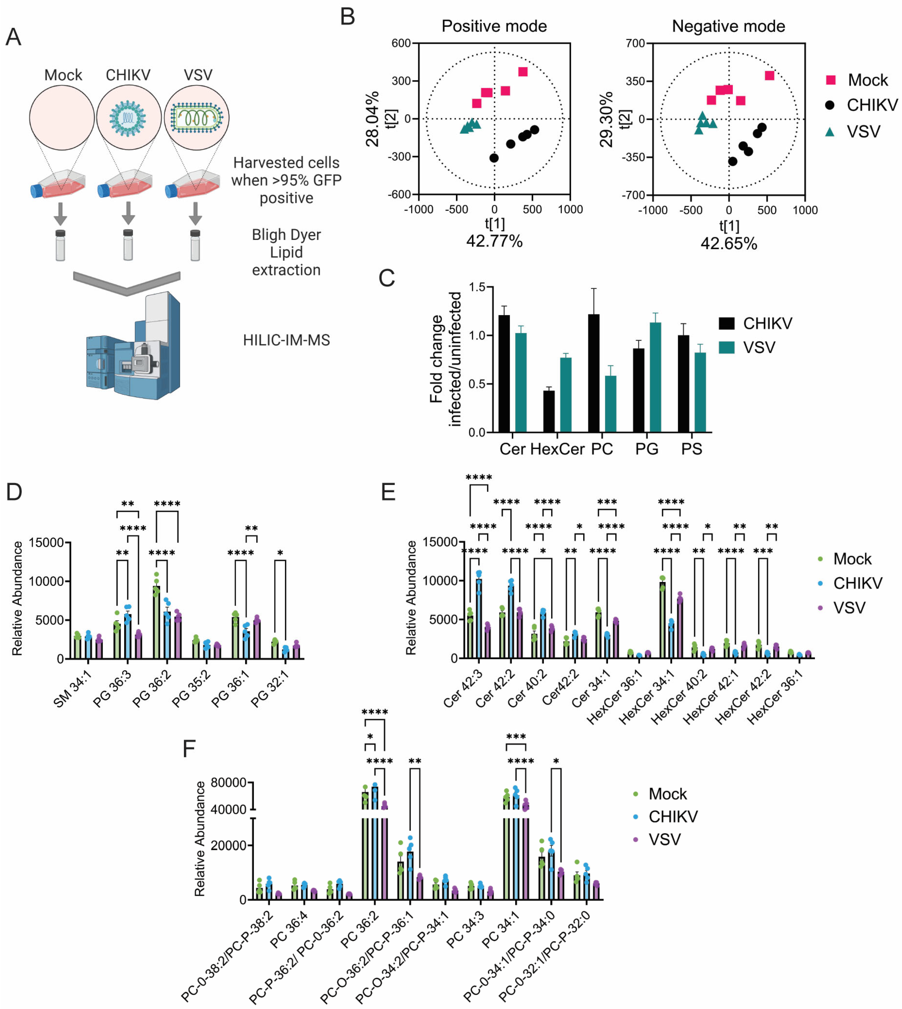 Viruses 17 00509 g001