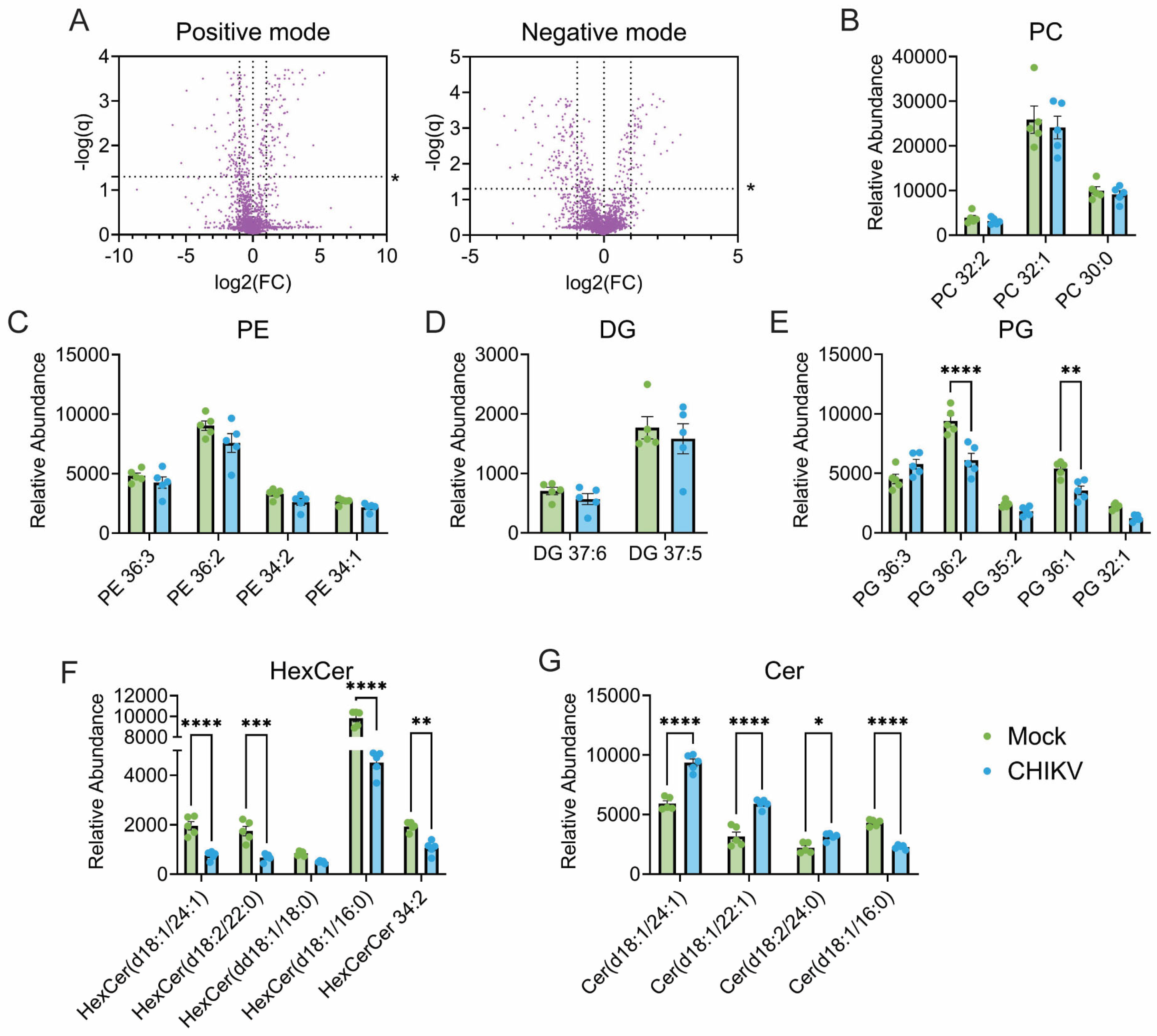Viruses 17 00509 g002