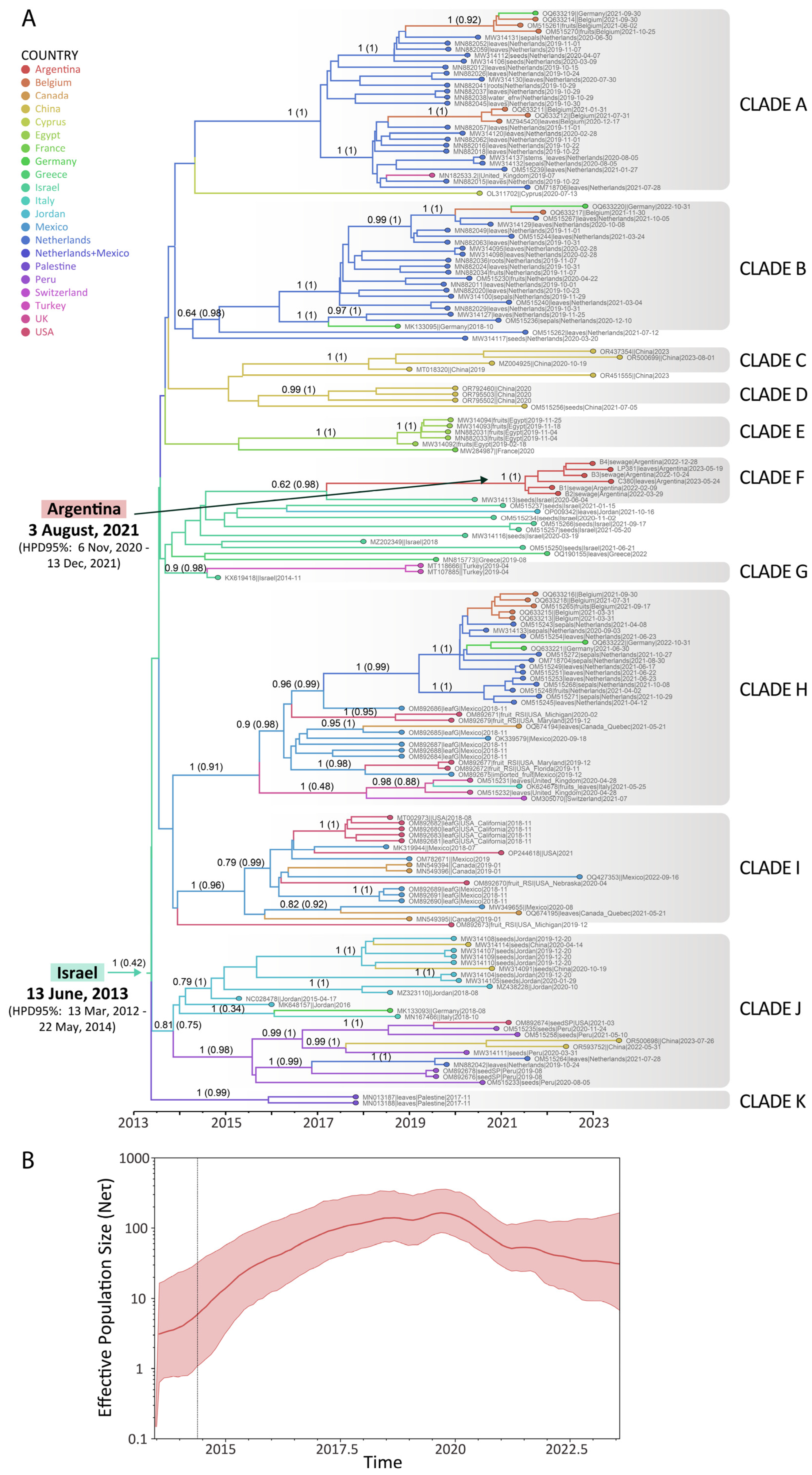 Viruses 17 00533 g003