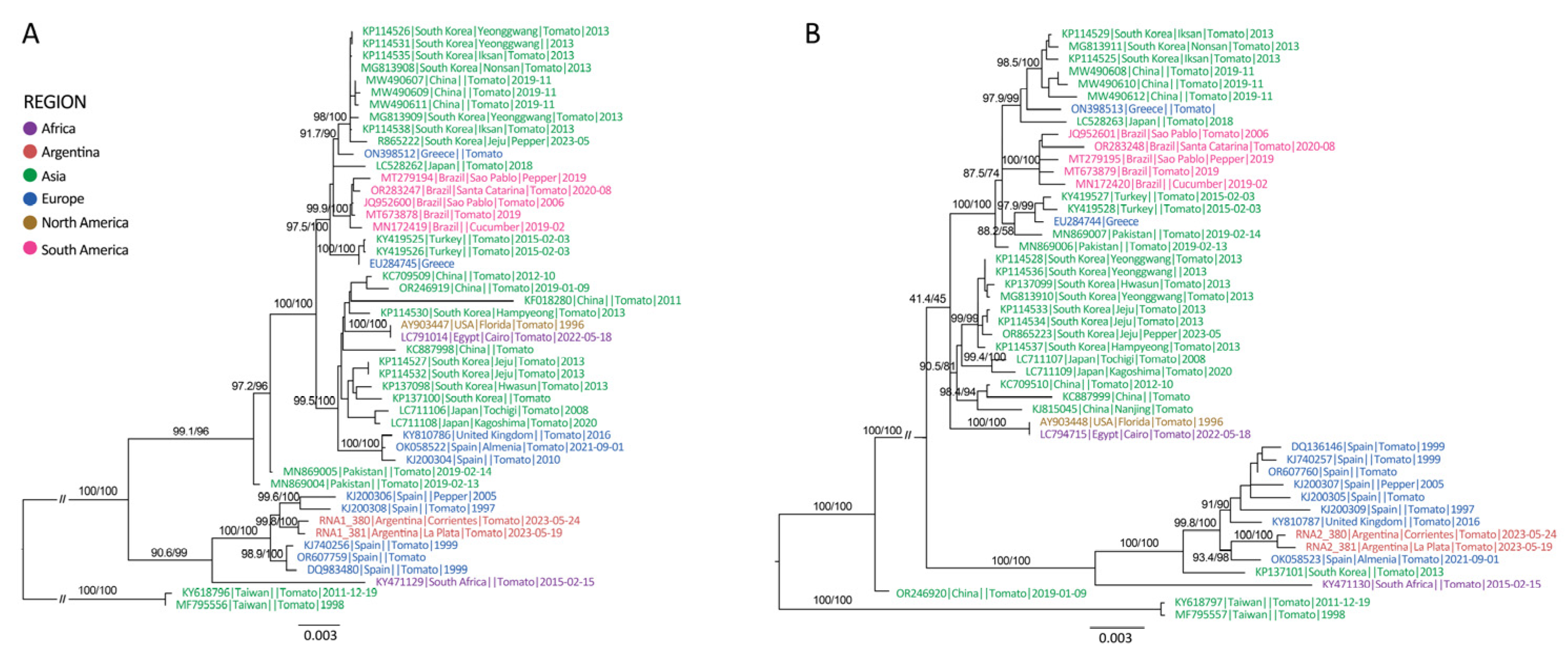 Viruses 17 00533 g004
