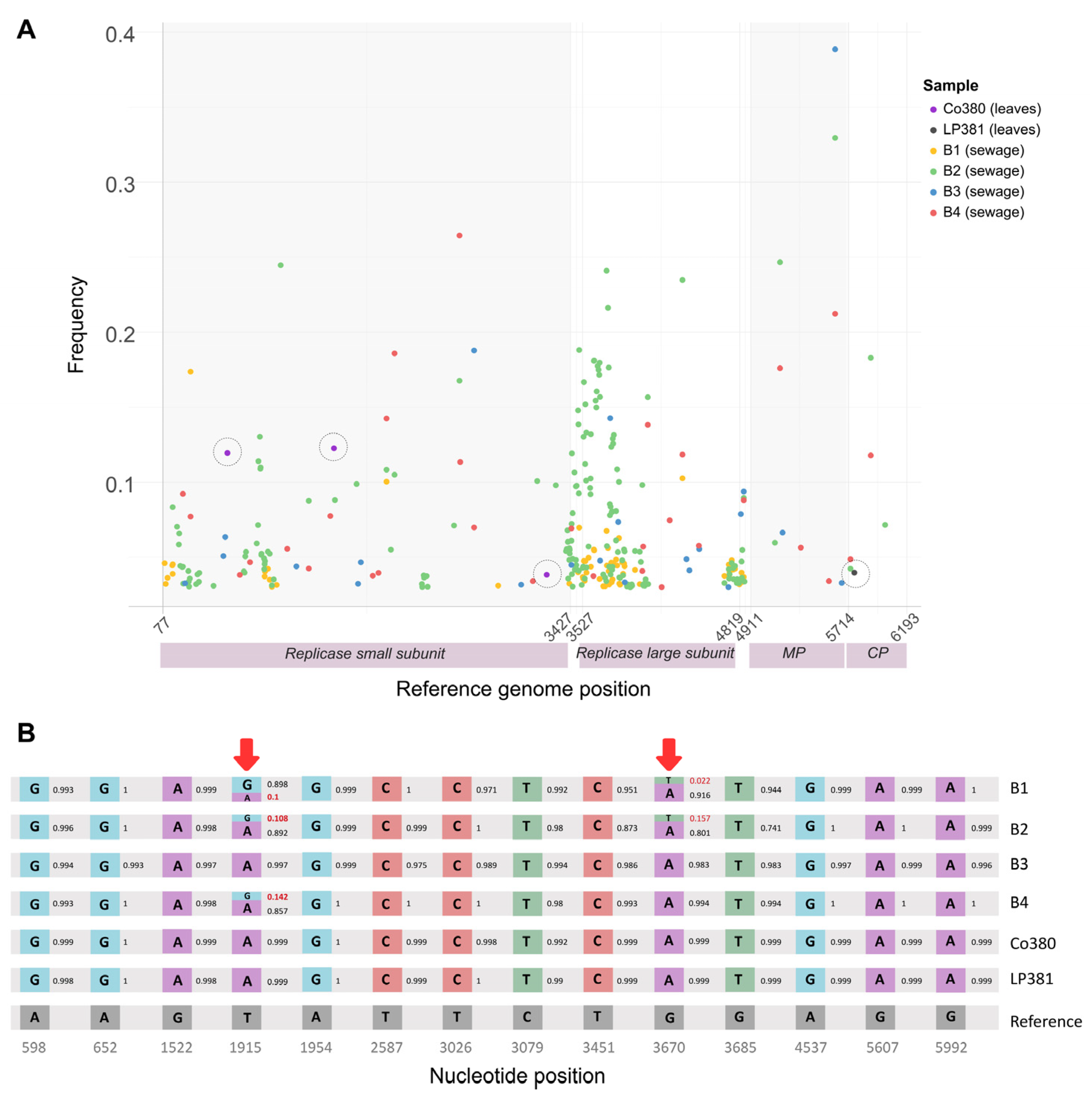 Viruses 17 00533 g006