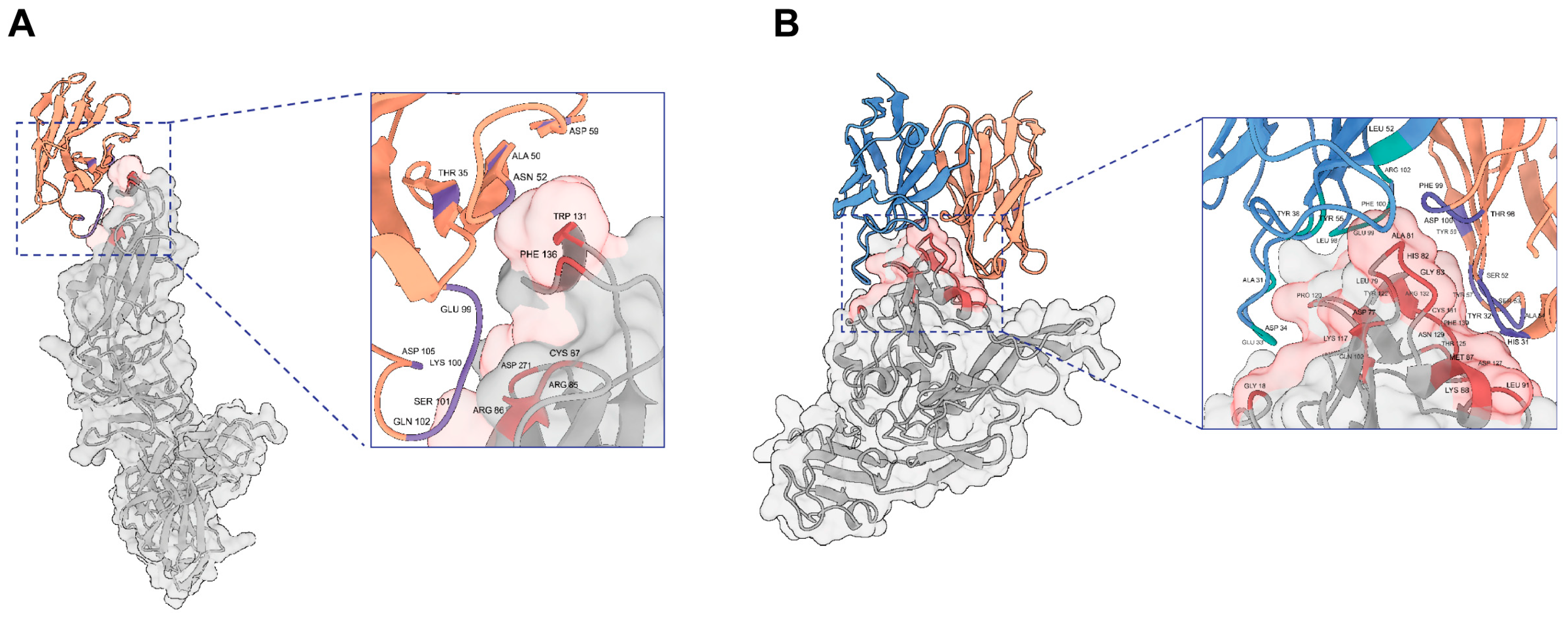 Viruses 17 00559 g006