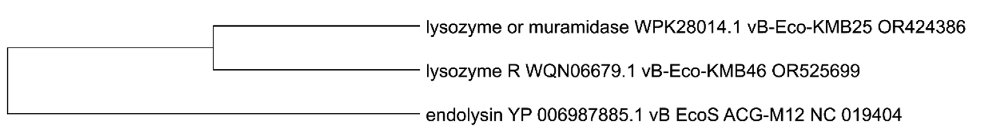 Viruses 17 00560 g003