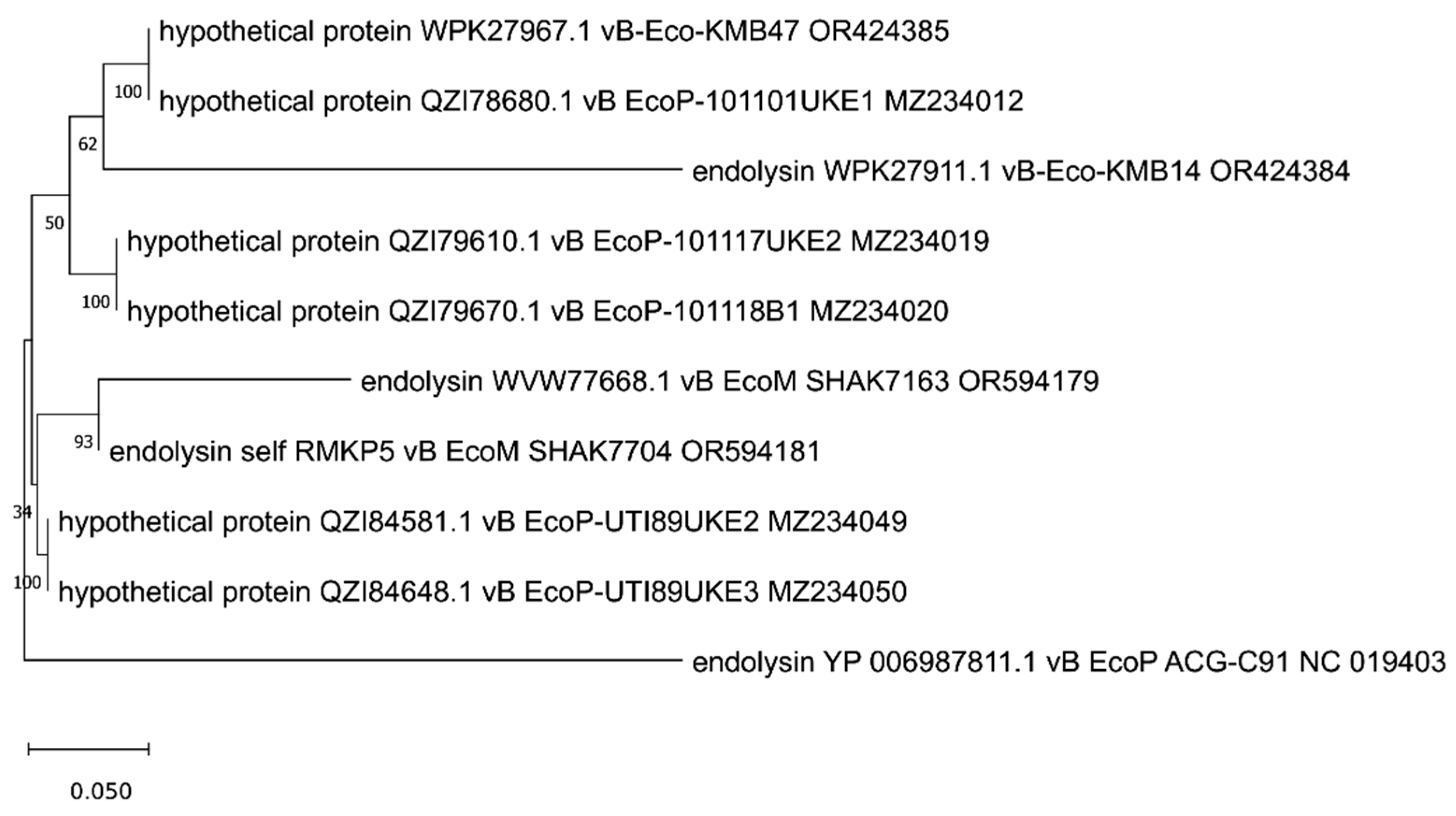 Viruses 17 00560 g005