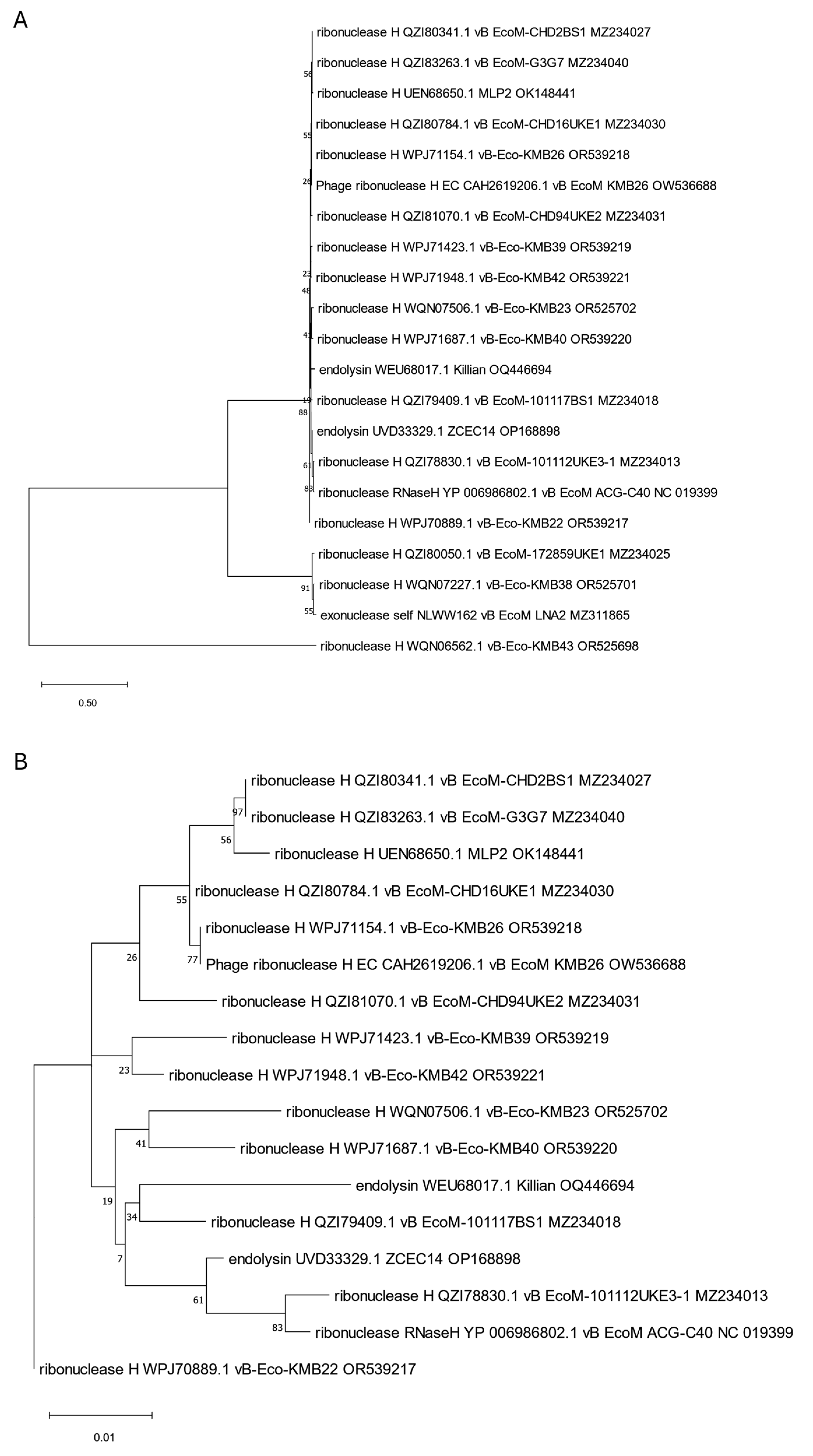 Viruses 17 00560 g009