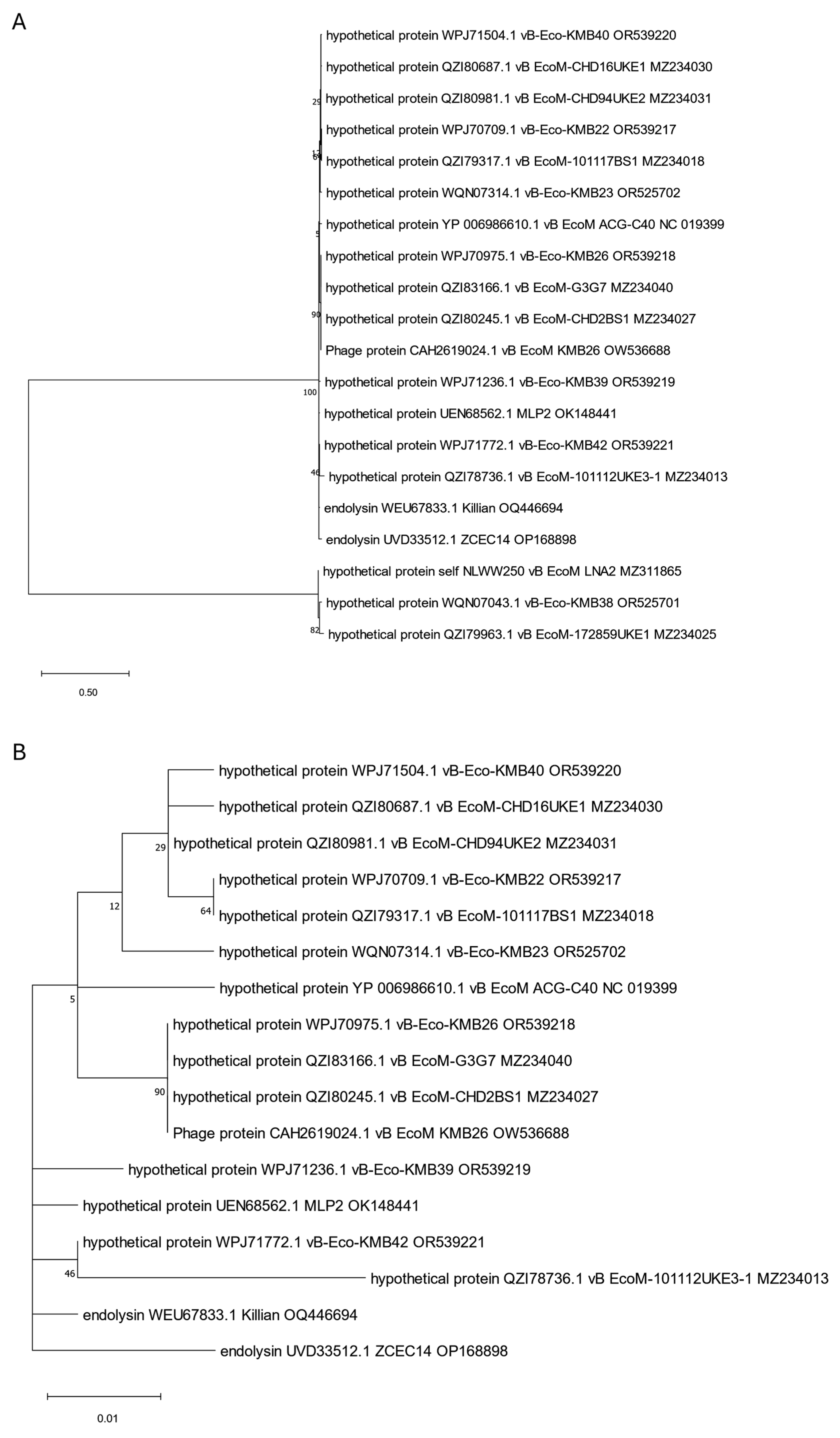 Viruses 17 00560 g011