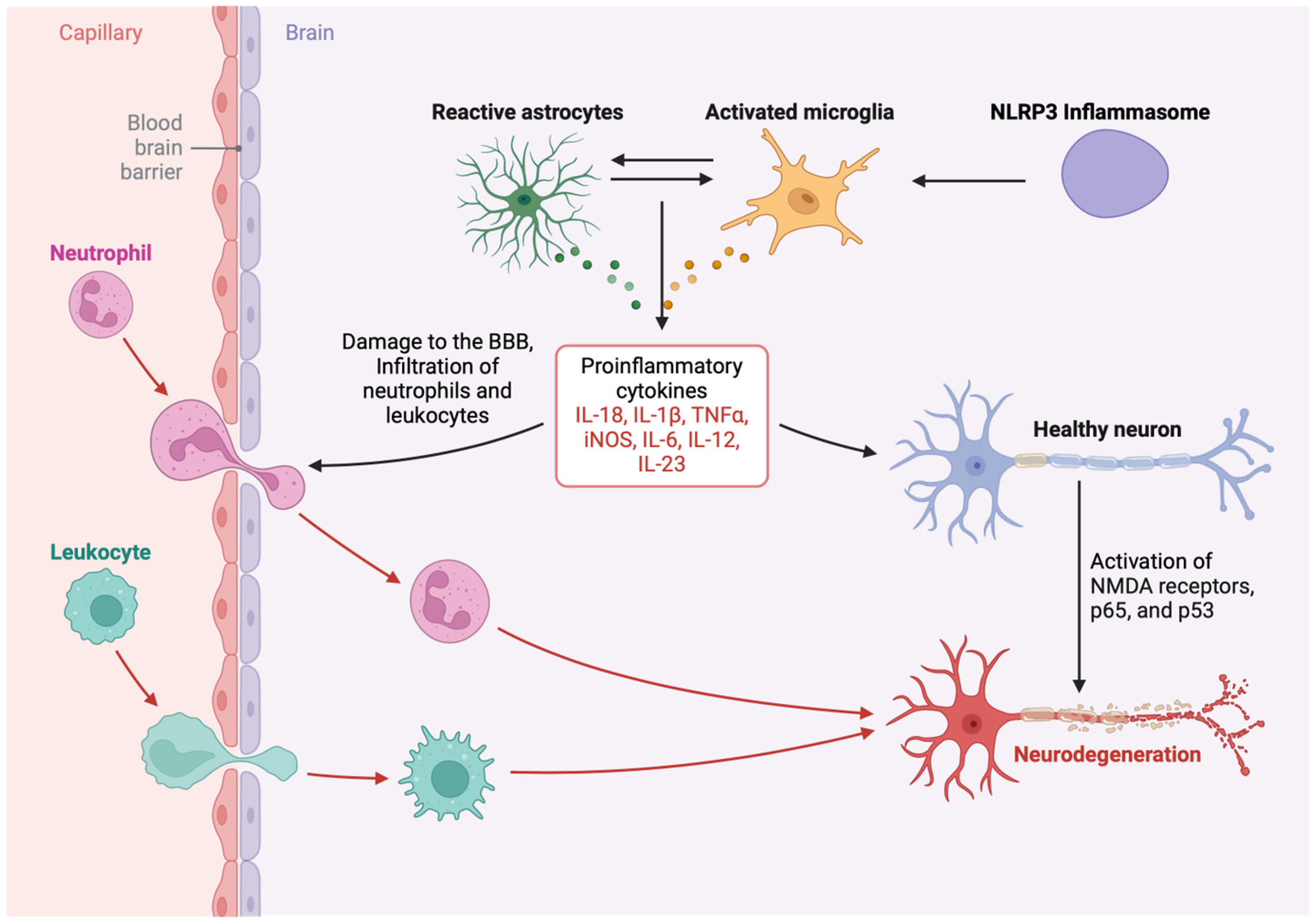 Viruses 17 00572 g002