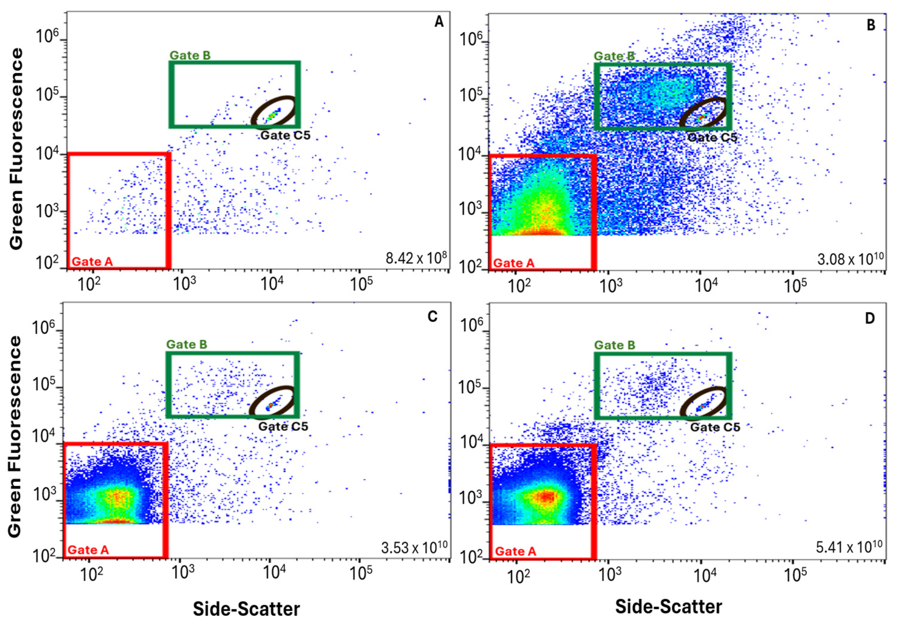 Viruses 17 00575 g002