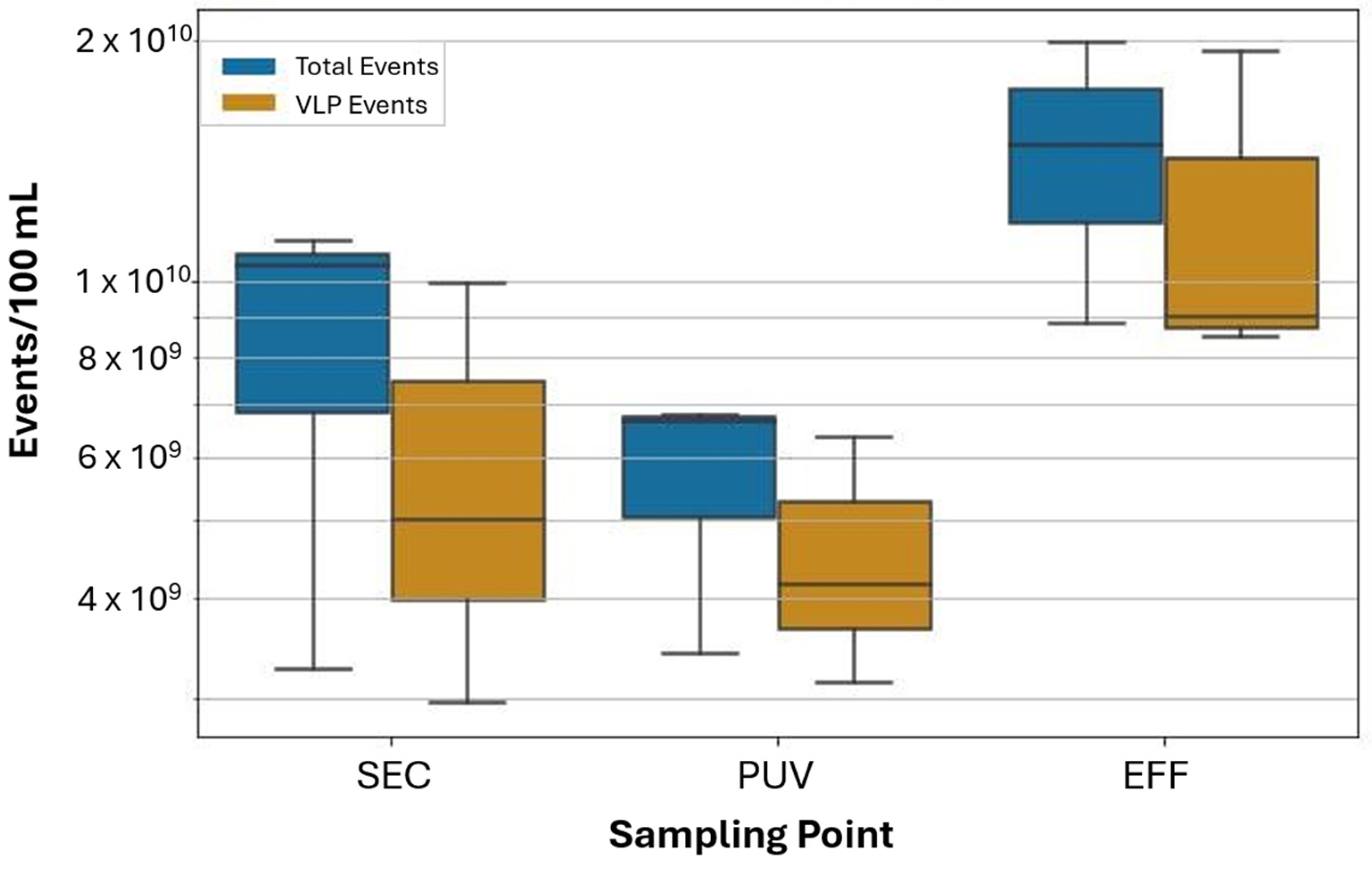 Viruses 17 00575 g005