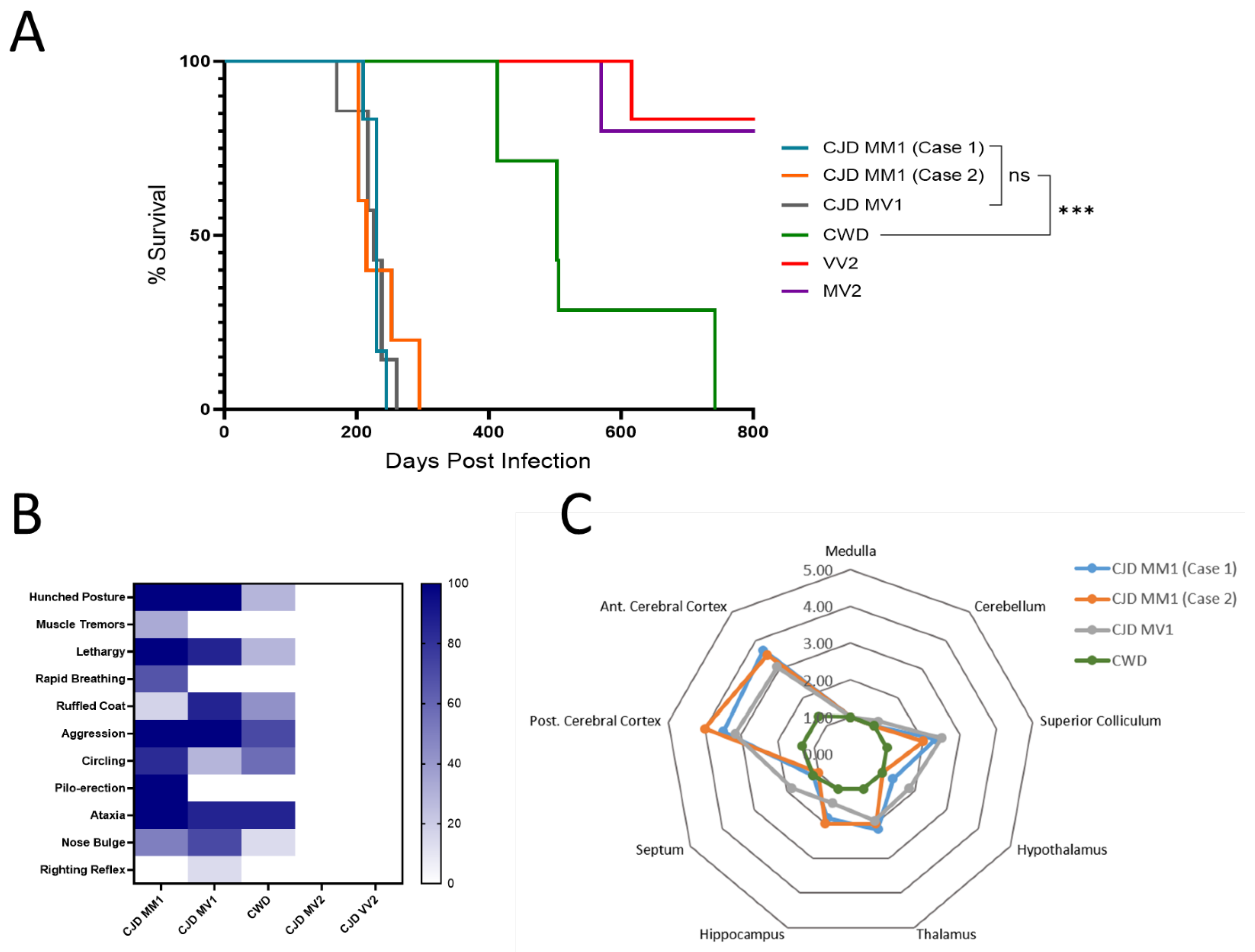 Viruses 17 00576 g002