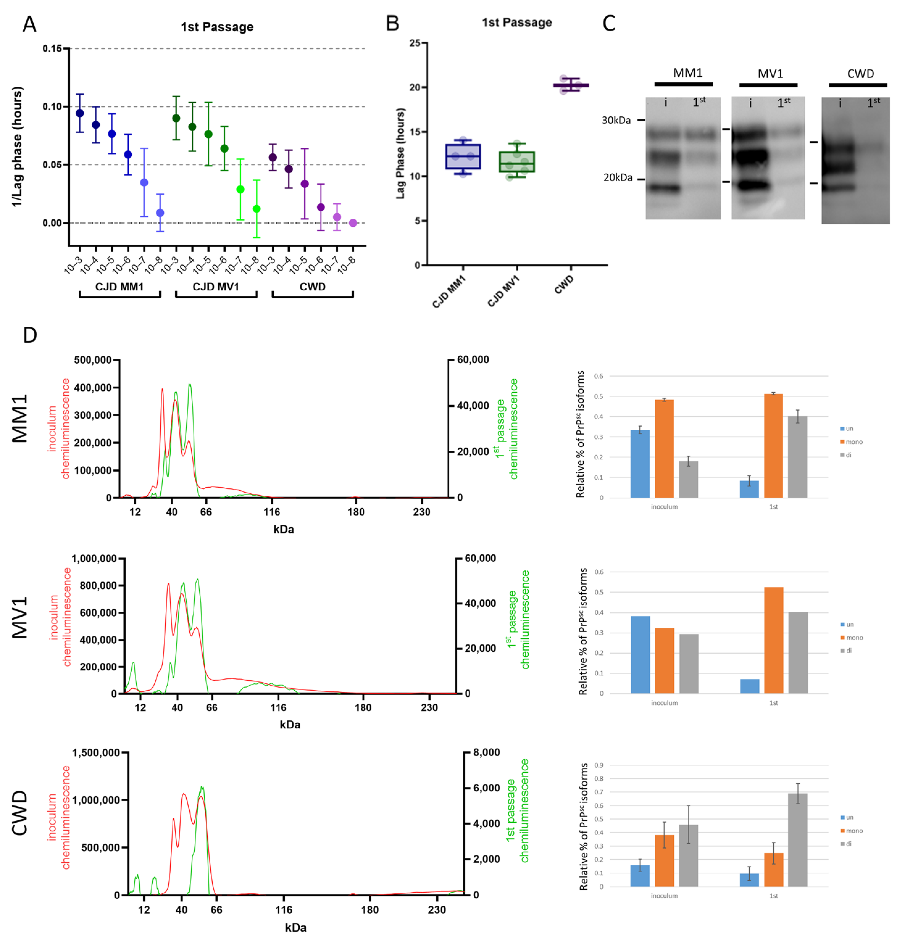 Viruses 17 00576 g004