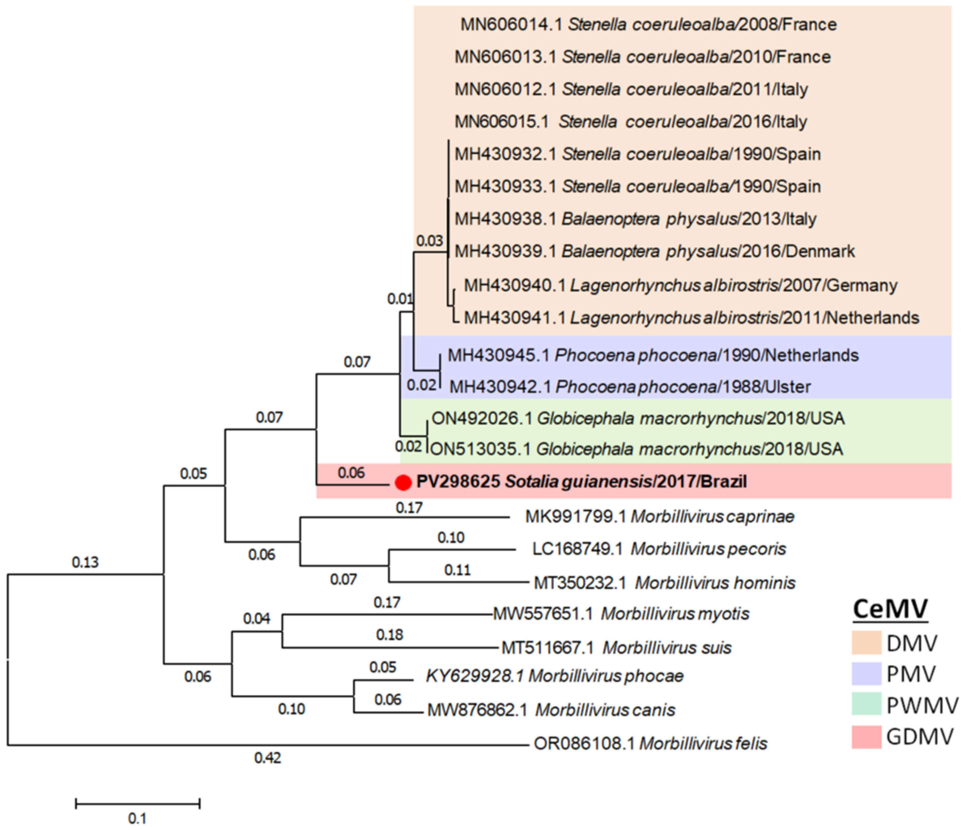 Viruses 17 00582 g004
