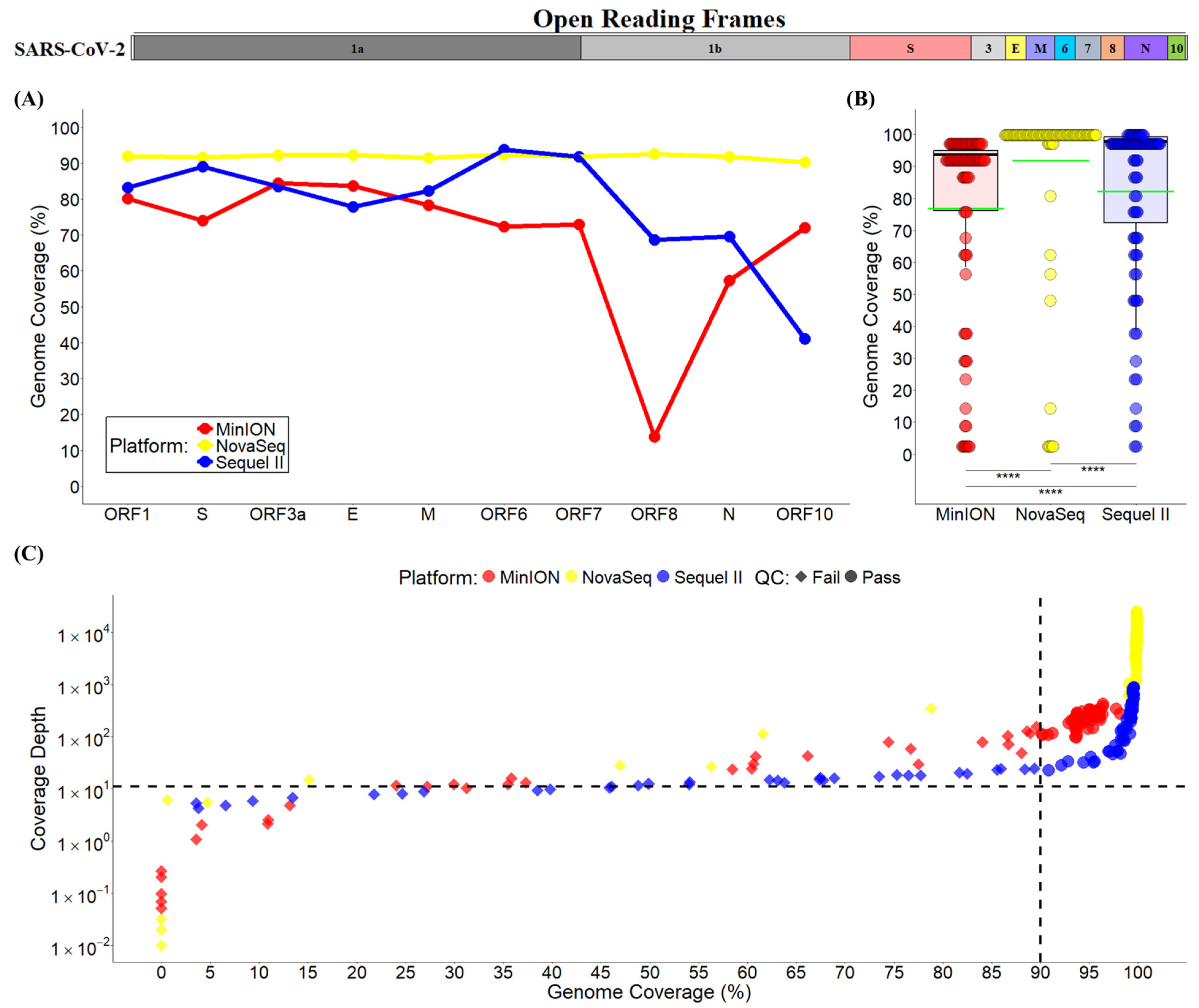 Viruses 17 00584 g002